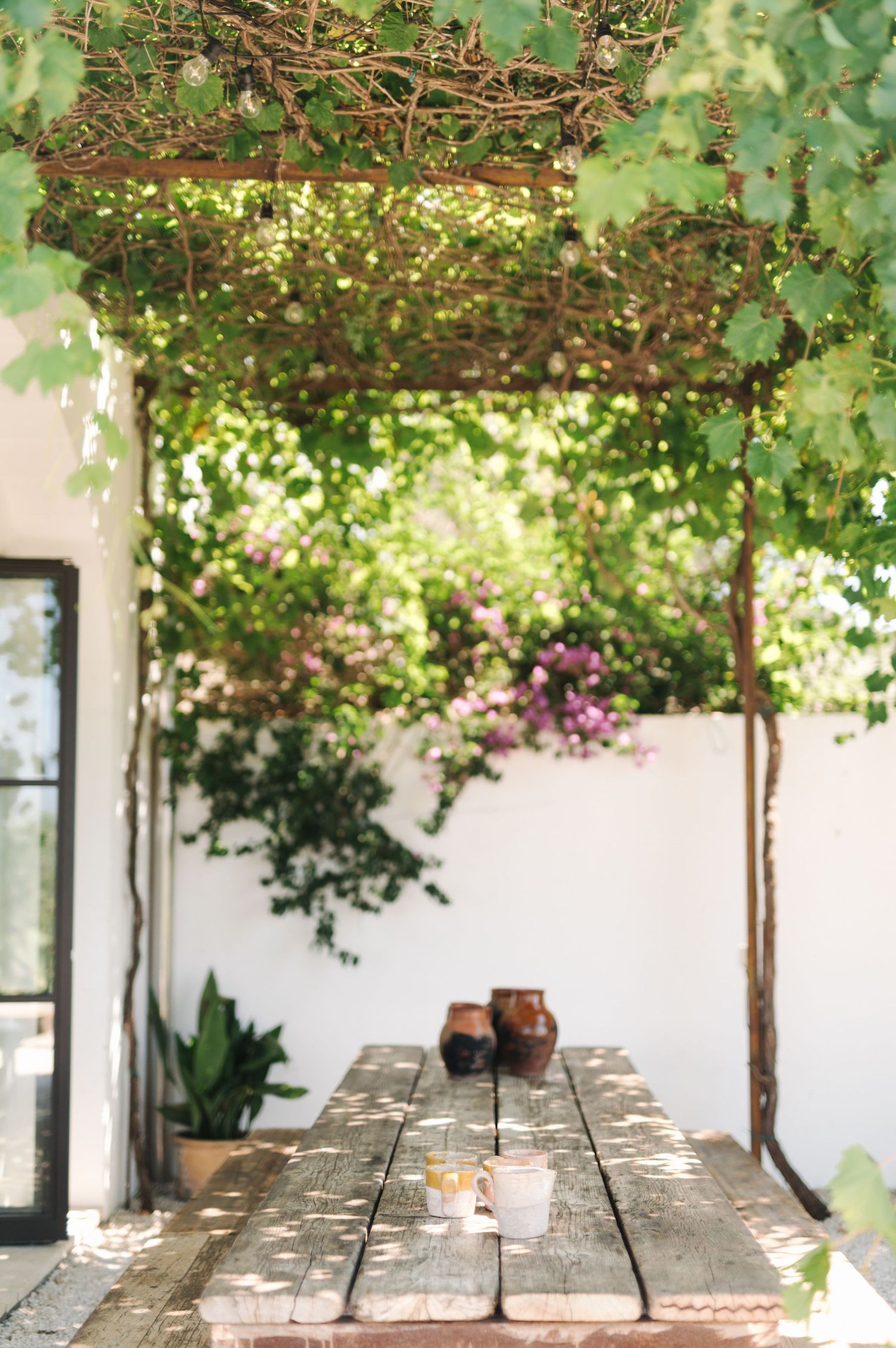 Long wooden dining table beneath lush green vines growing overhead on a patio with white walls and potted plants.