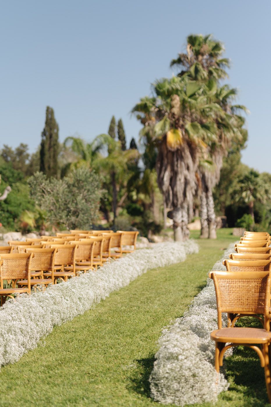Wooden chairs lined up along a garden path with palm trees and white flowers.