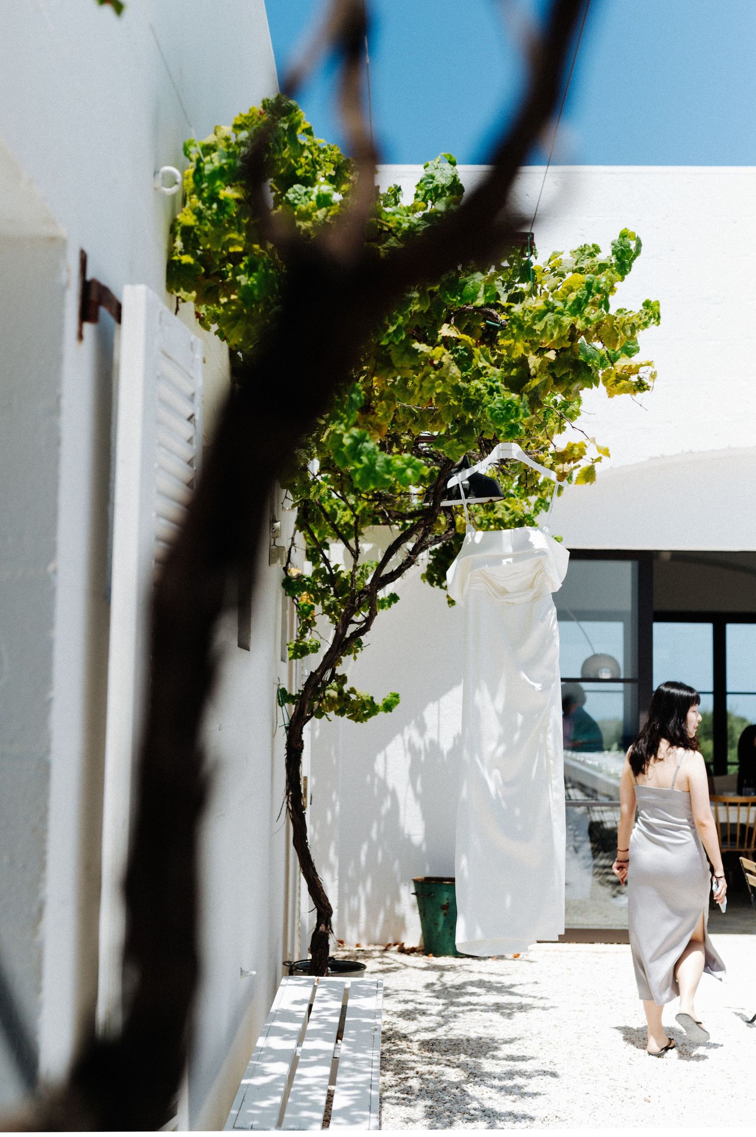 A person walks along a white Mediterranean-style building with green plants casting shadows on the wall.