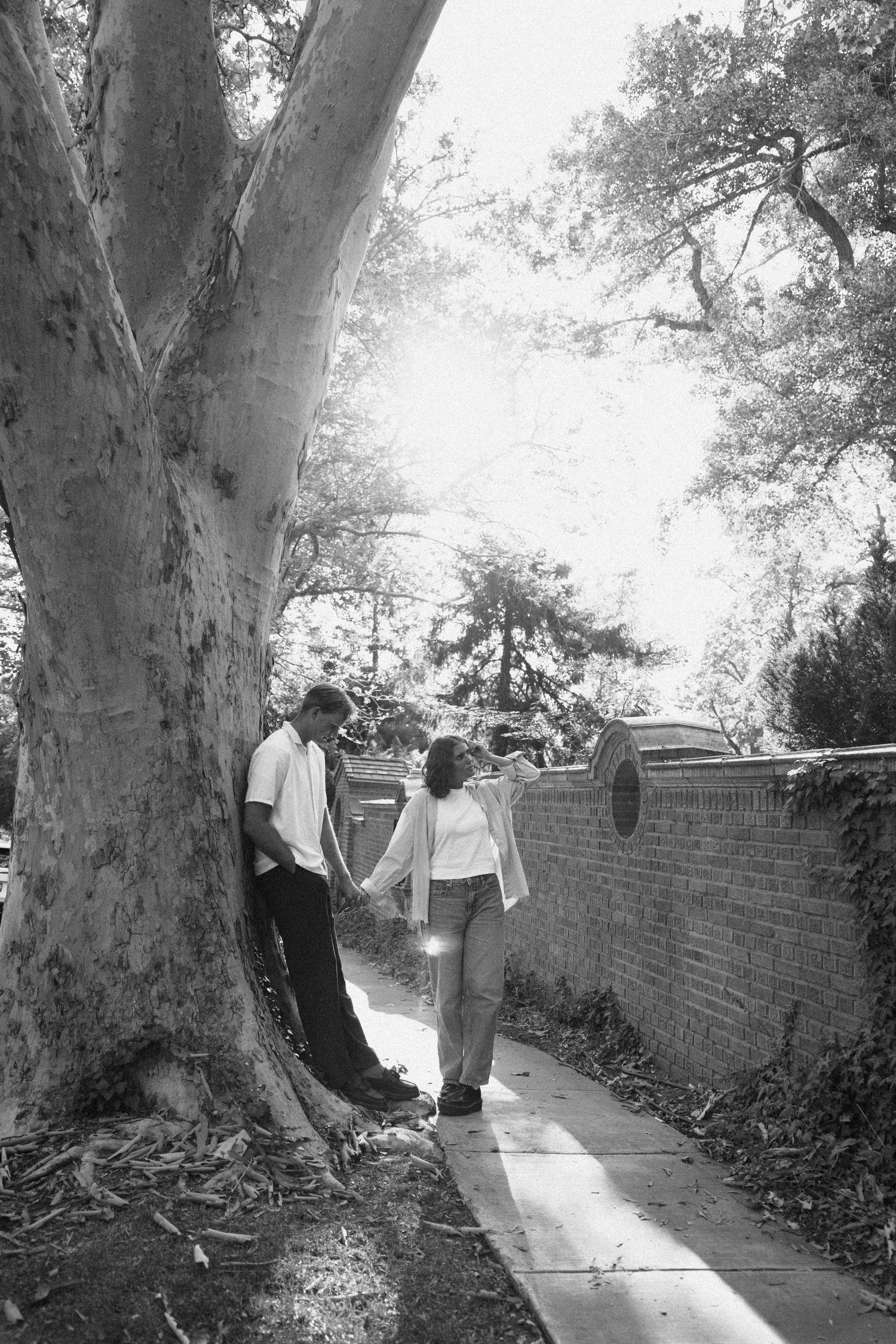 A sequence of black and white photographs showing two people walking along a tree-lined brick wall path.