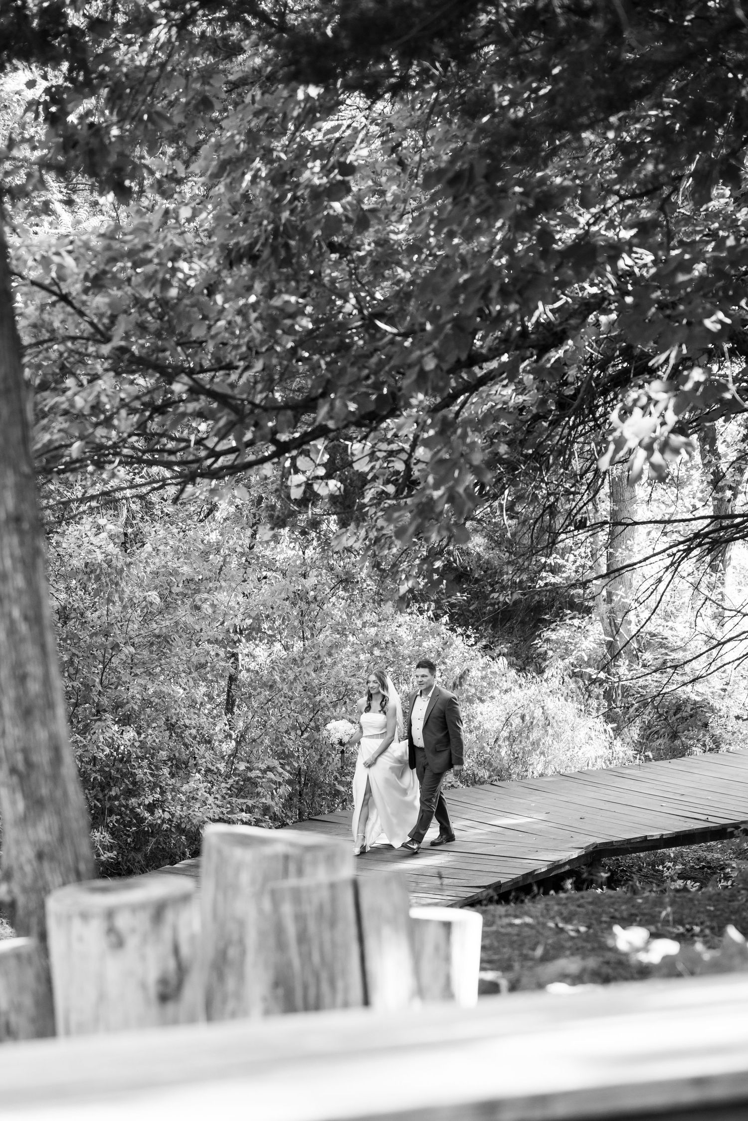 A wooden boardwalk path winds through a tranquil wooded area on a sunny day.