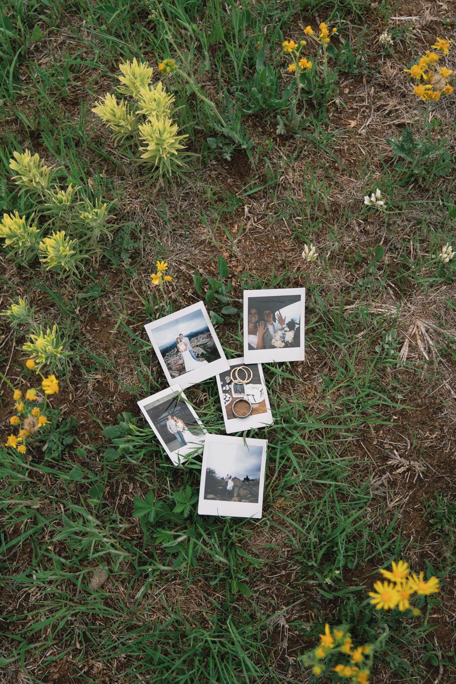 Polaroid photographs scattered among yellow wildflowers and grass in an artistic arrangement.