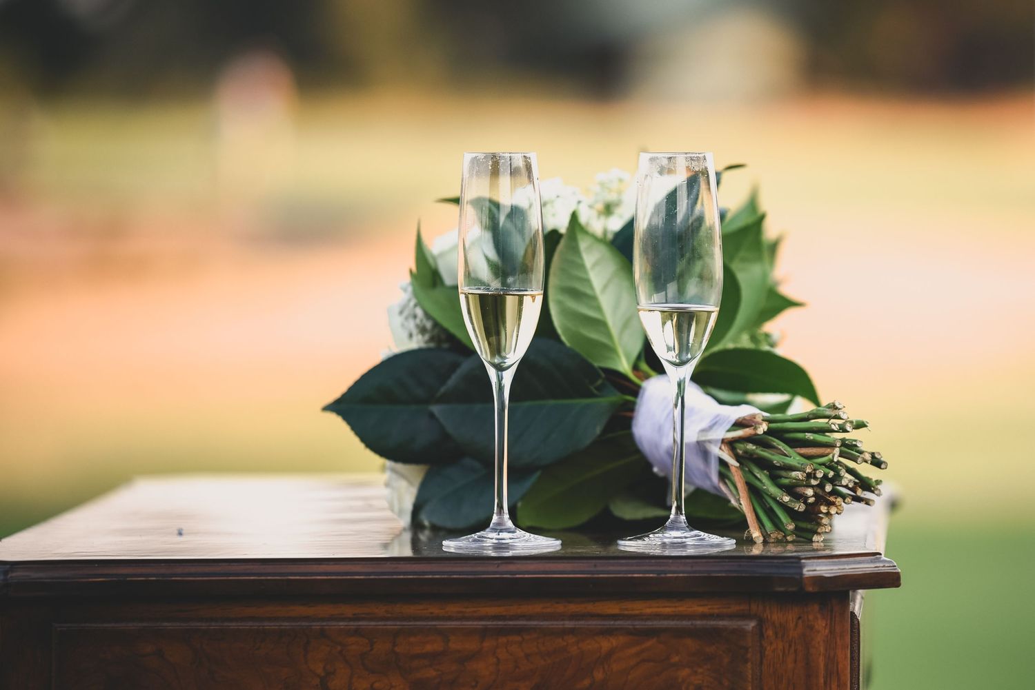 Two wine glasses sit elegantly on a wooden surface with green foliage in soft natural lighting.