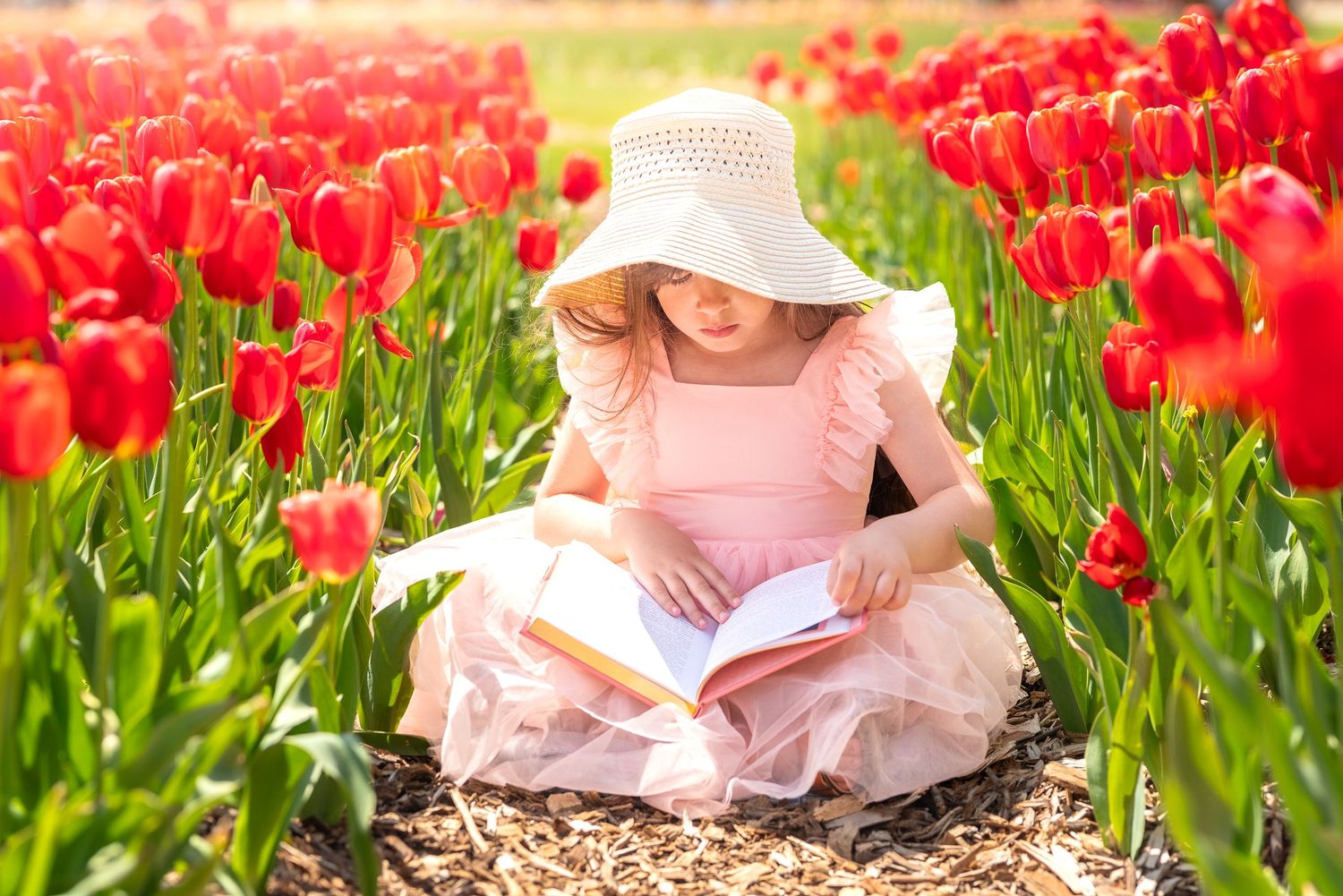 Small child wearing pink dress and sun hat reads book while sitting among blooming red tulips in garden.