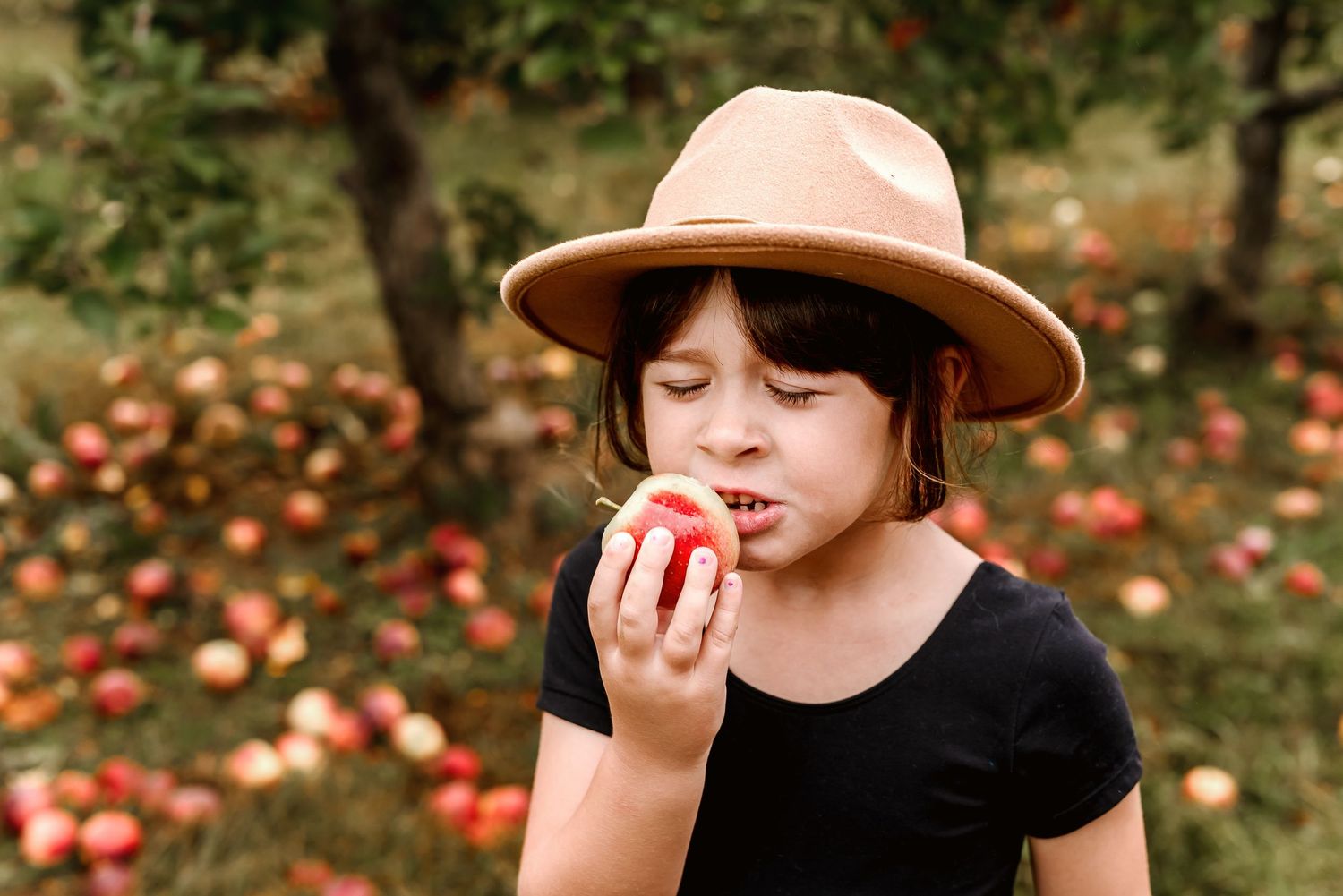 A collage of autumn apple picking scenes with someone wearing a brown hat picking and tasting fresh red apples.