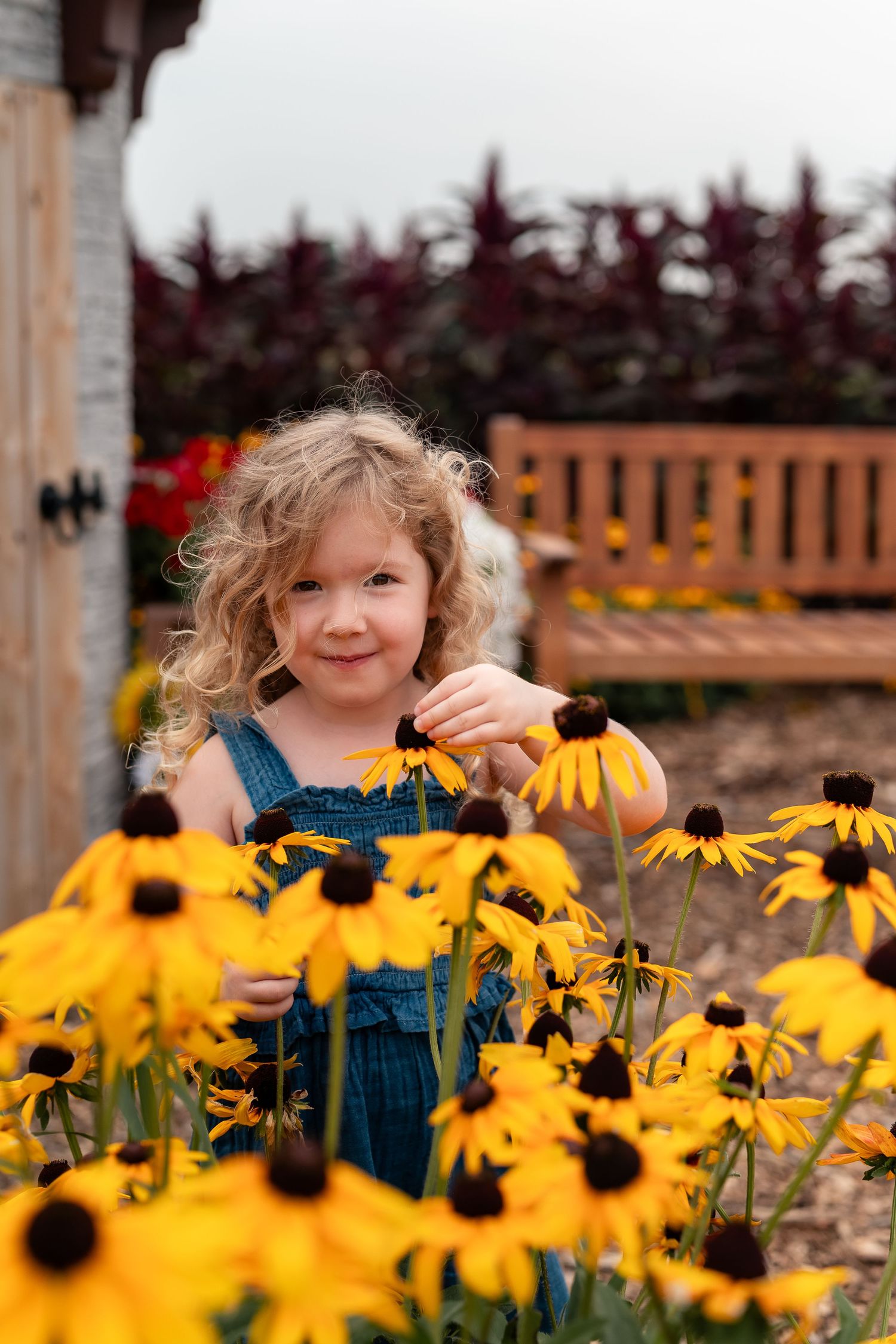 A curly-haired toddler girl in denim overalls smiles while touching yellow black-eyed Susan flowers in a garden.