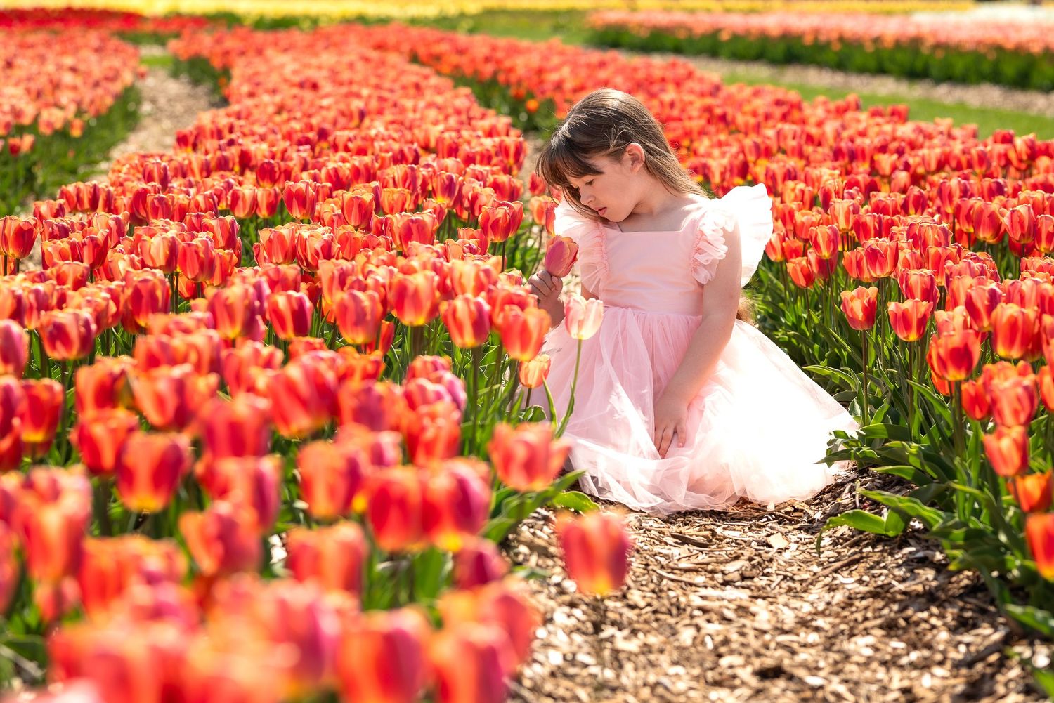 A young figure in a pink dress explores a vibrant field of red and orange tulips on a sunny spring day.