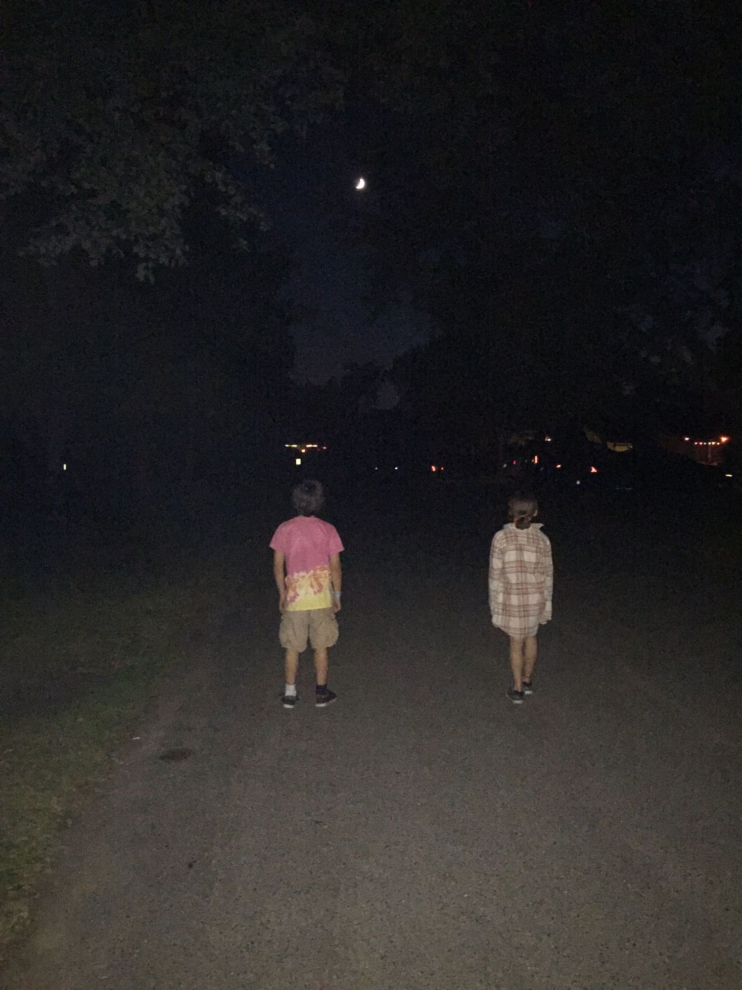 Two children walking down a dark road at night with a crescent moon visible through the trees above.