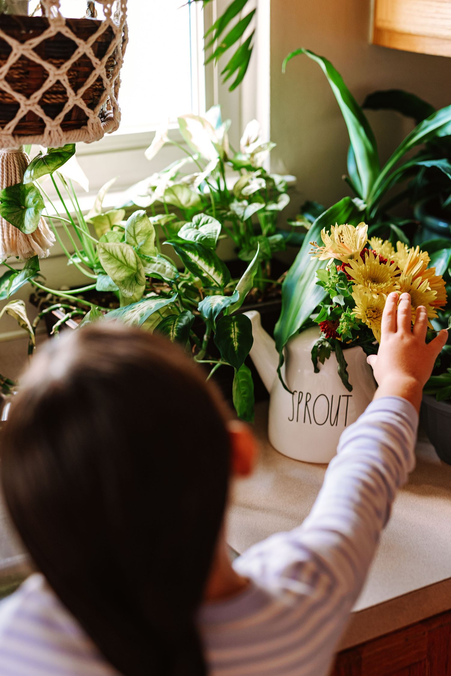 A small child reaches up to touch potted plants displayed on a windowsill in a sunlit room.