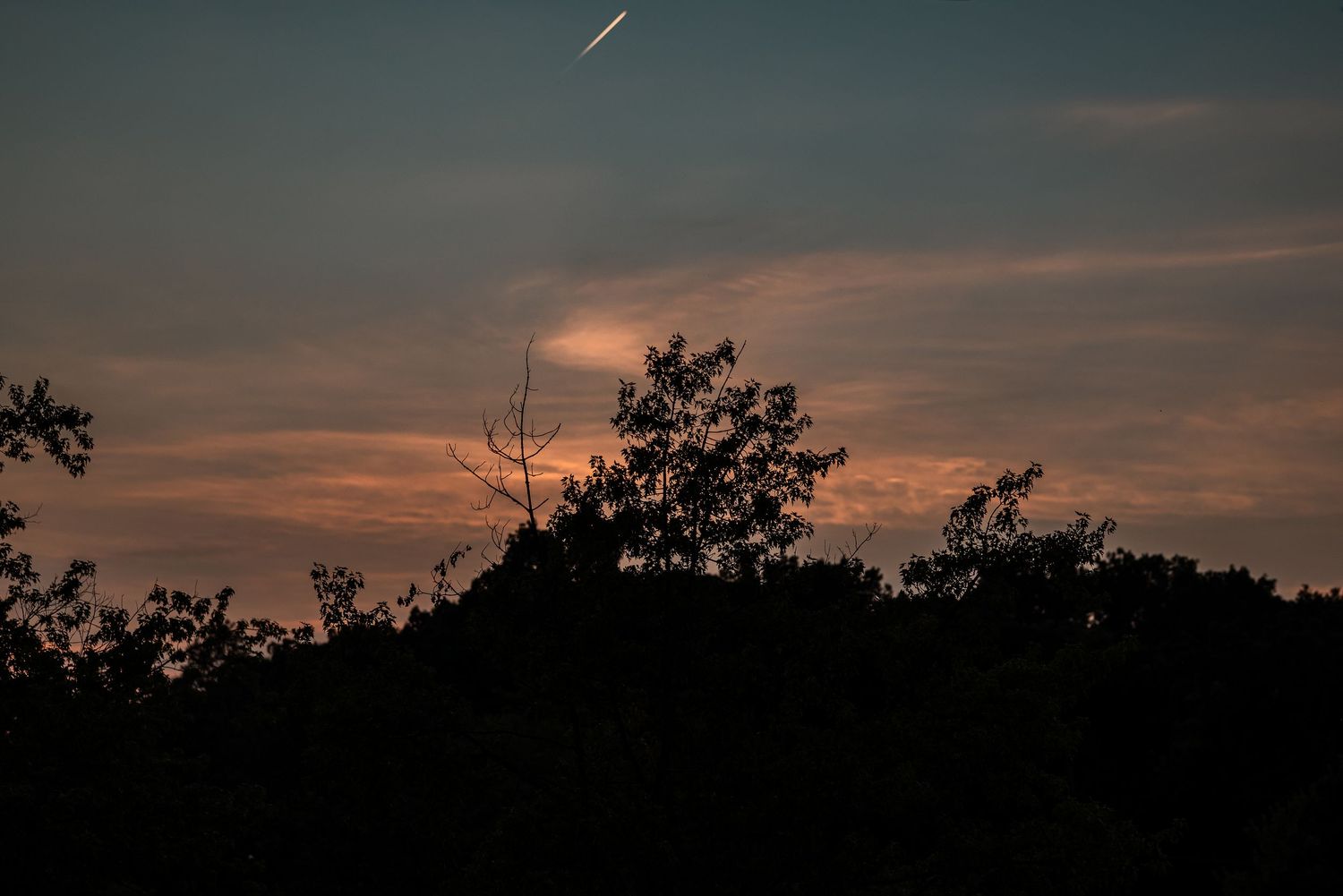 Silhouetted trees against a dramatic dusk sky with orange clouds and a jet contrail at twilight.