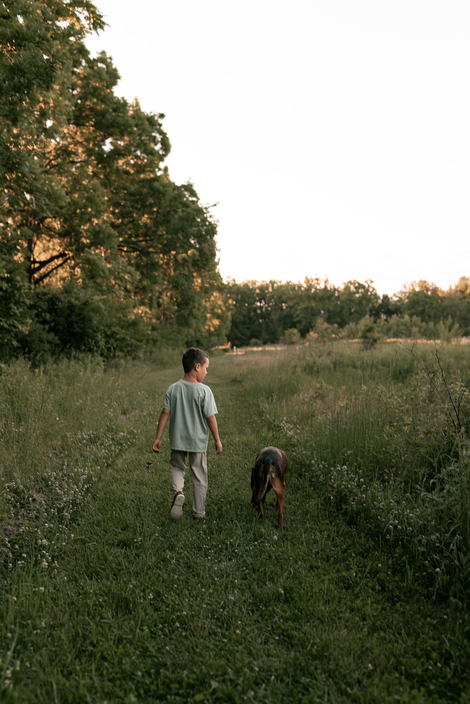 A child walks with a brown dog along a grassy path surrounded by trees at golden hour.