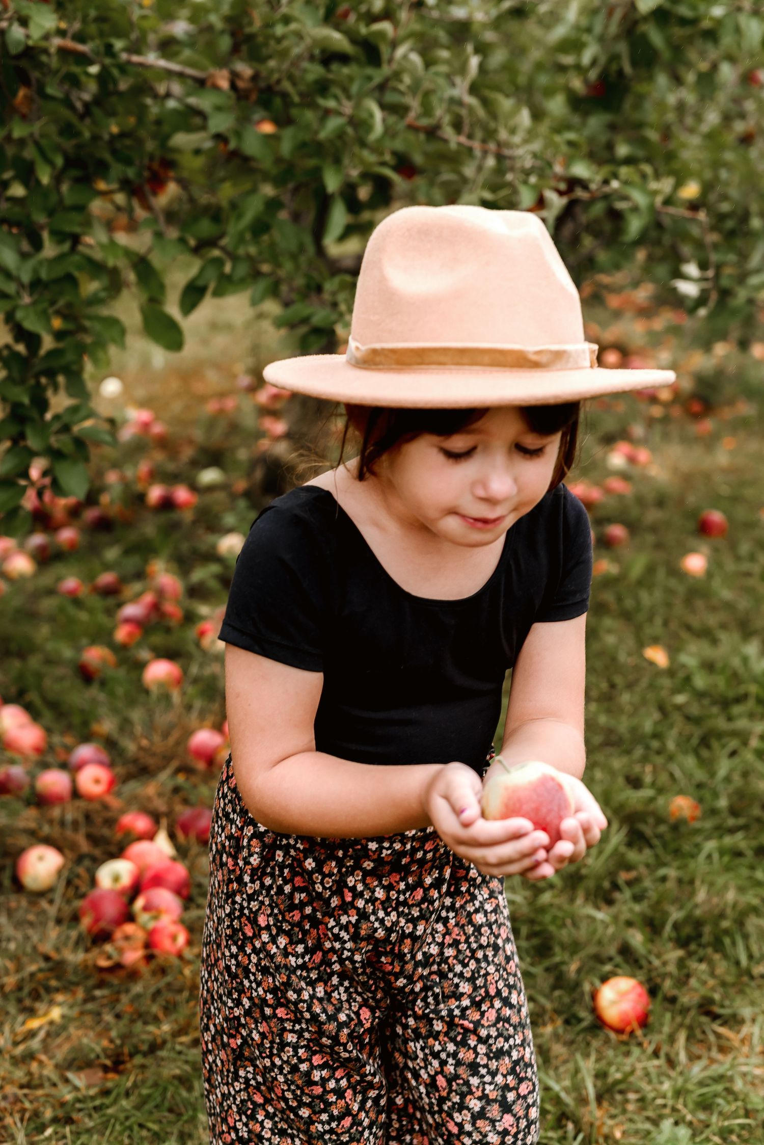 A person in a pink hat and black top examines fallen red apples in a grassy orchard.