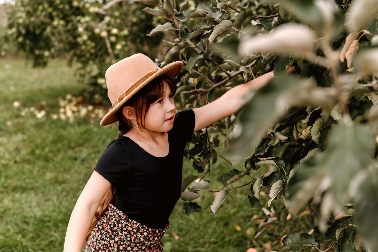 Someone in a straw hat and leopard print skirt reaches up to pick fruit from a tree branch in a sunny garden.