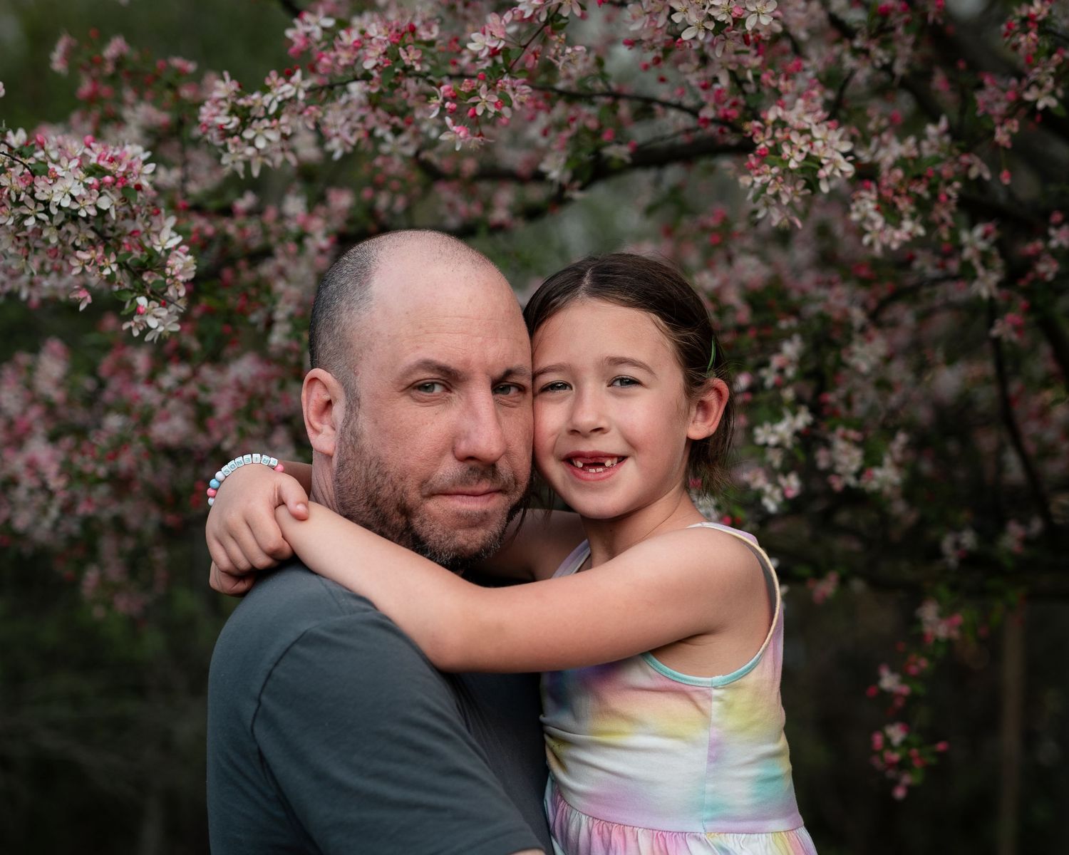 A bald man and young girl embrace under blooming pink cherry blossom tree in a heartwarming outdoor portrait.