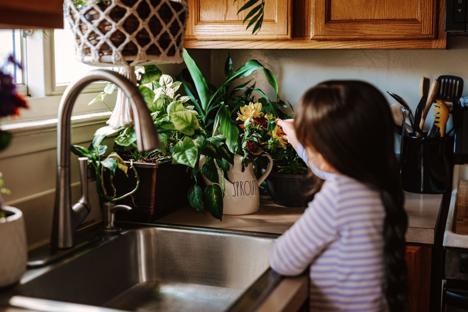 A series of connected photos showing someone watering houseplants in a sunlit kitchen window.