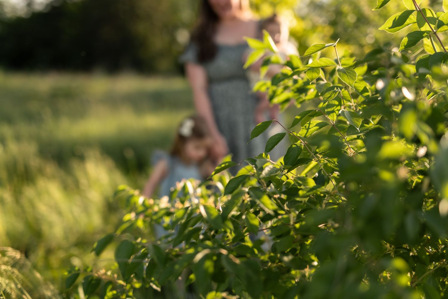 Woman and child in a sunlit green field surrounded by lush foliage on a warm sunny day.