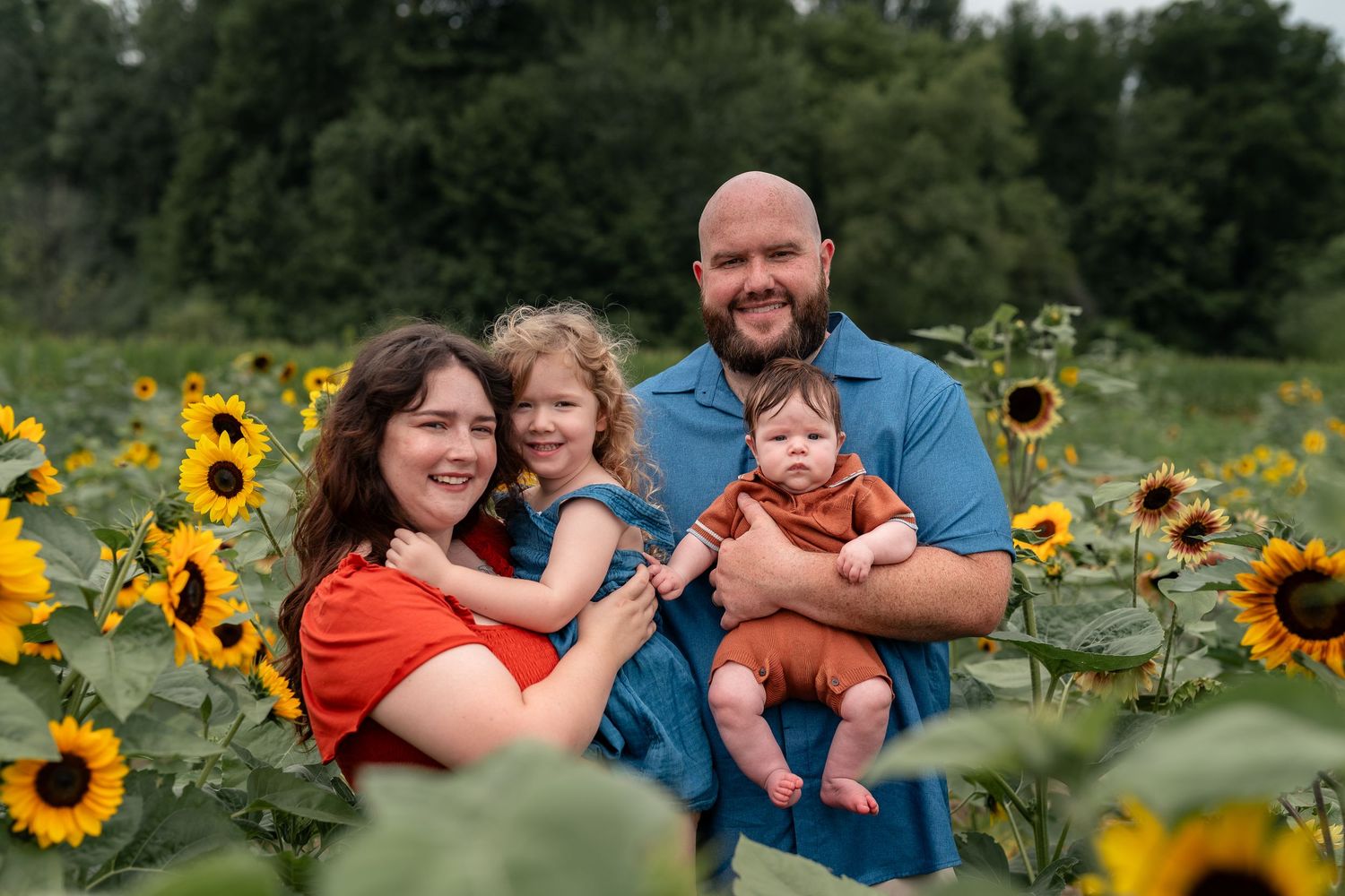 A happy family of four poses in a vibrant sunflower field, parents holding two young children.