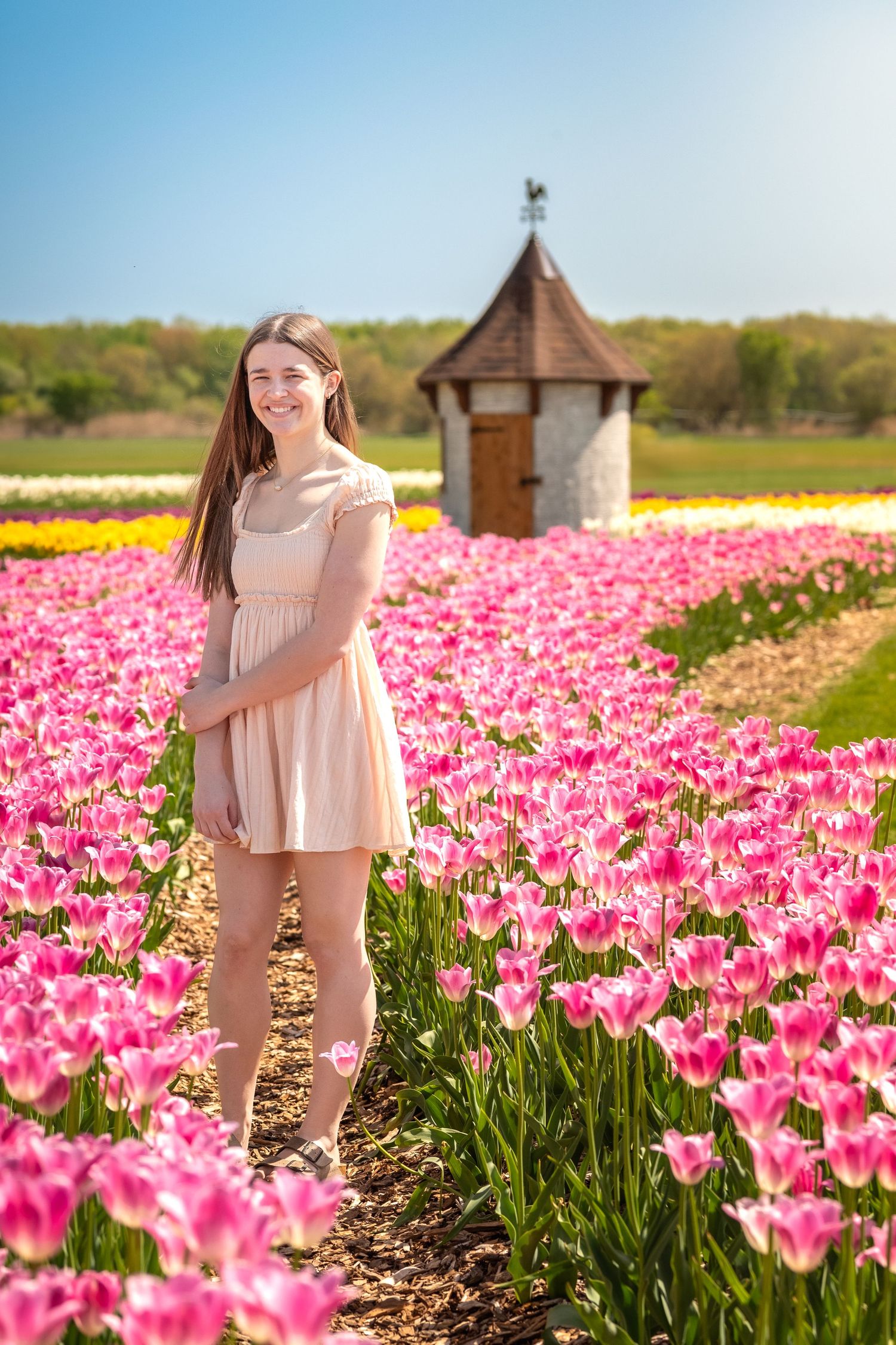 Young woman in pink dress smiling in vibrant tulip field with rustic windmill under blue sky.