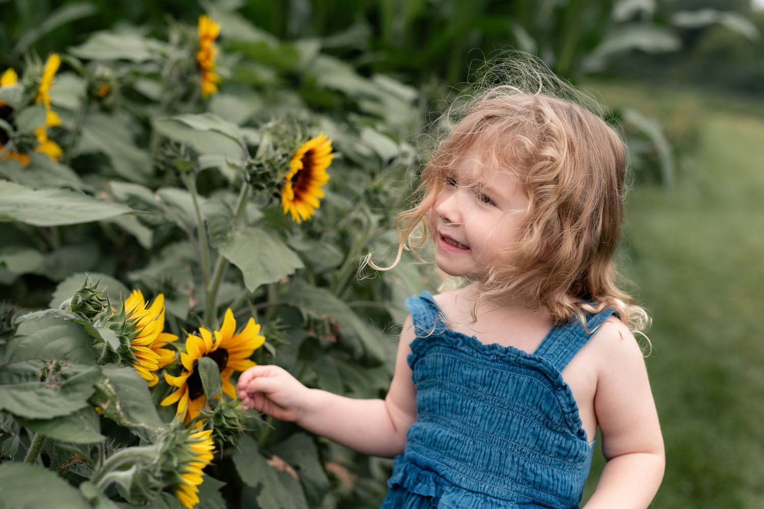 A young girl in blue overalls smiles while touching bright yellow sunflowers in a lush green garden.