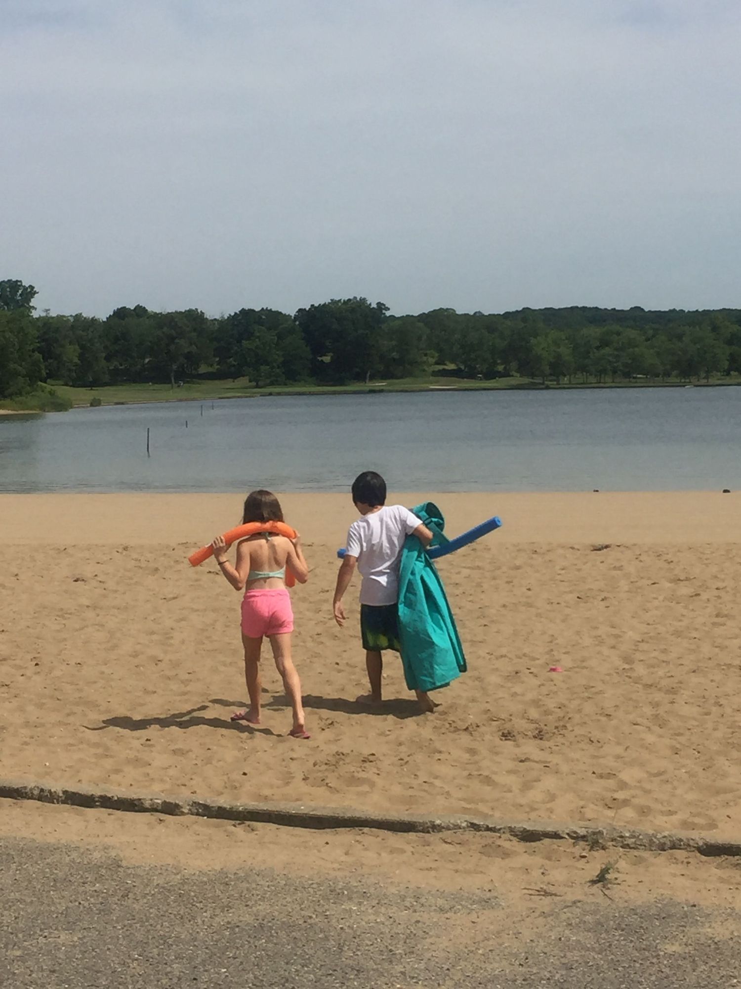 Two children walking on a sandy beach toward a lake, carrying pool noodles and swim gear on a sunny day.
