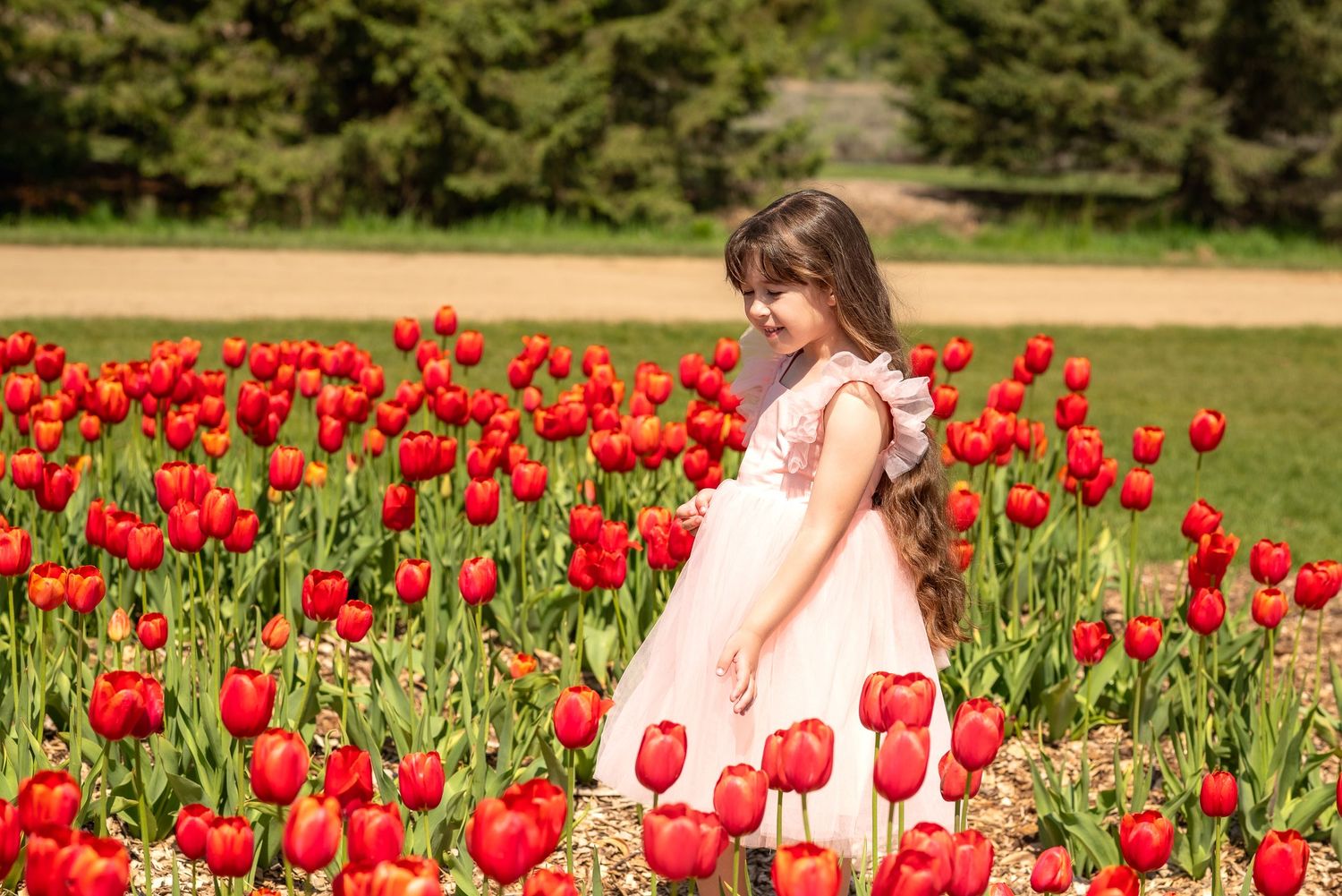 A young girl in a pink dress stands among vibrant red tulips in a lush garden.