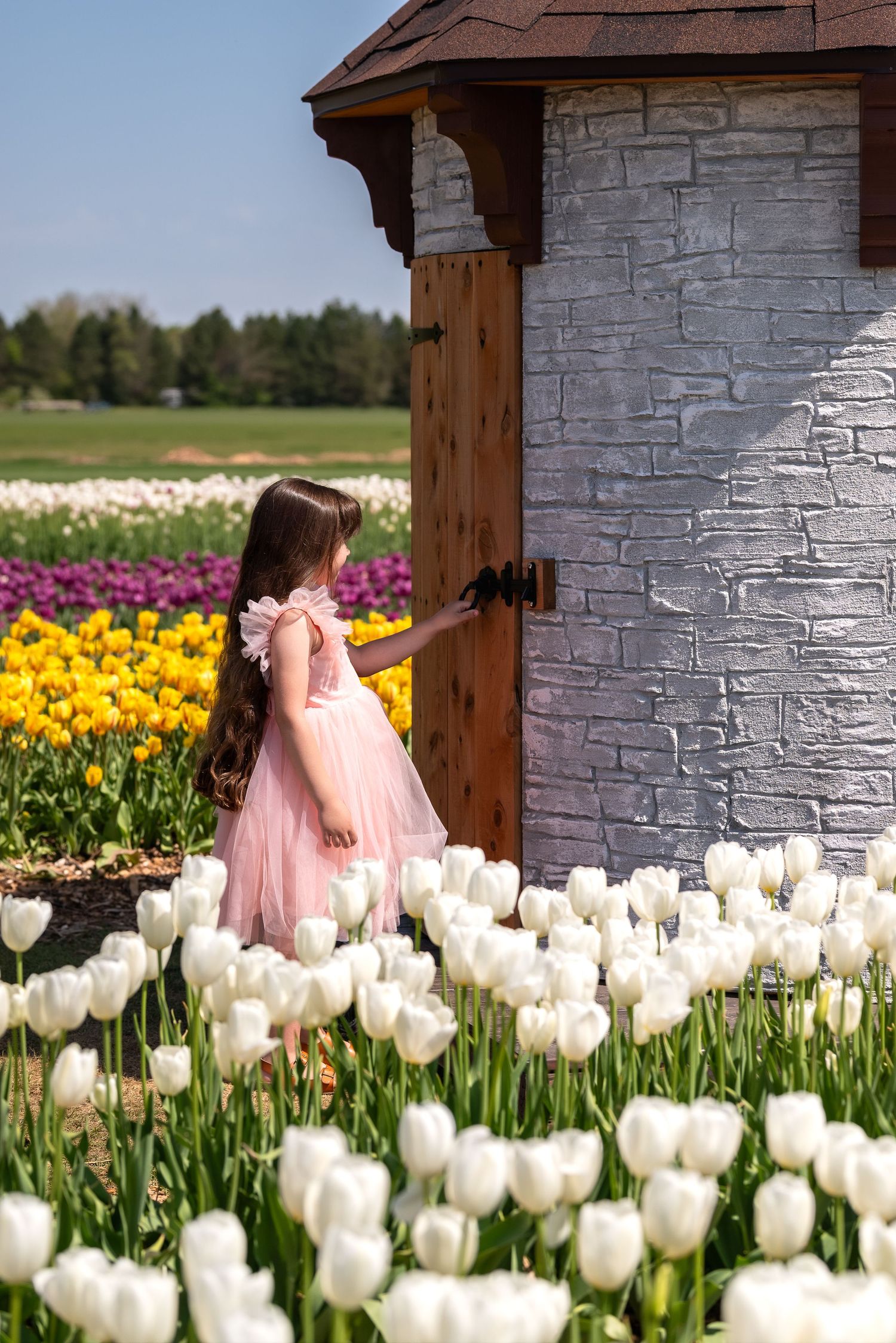 Young girl in pink dress opening wooden door surrounded by white tulips in colorful flower field.