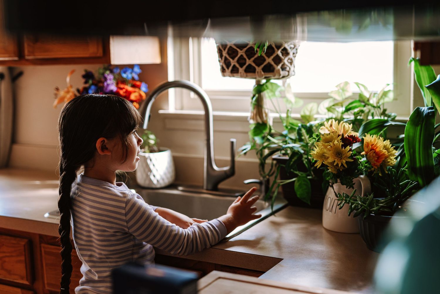 A collection of houseplants and greenery arranged on a wooden windowsill in natural sunlight.