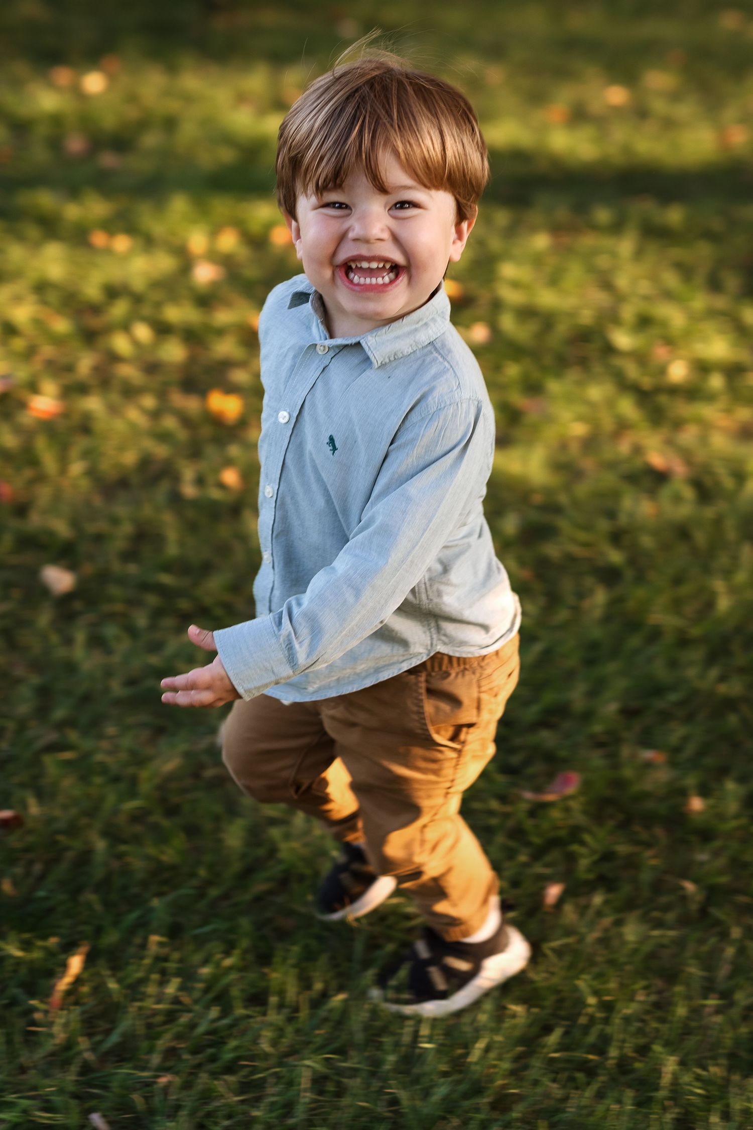 Playful movements on grass with autumn leaves scattered in golden evening light.