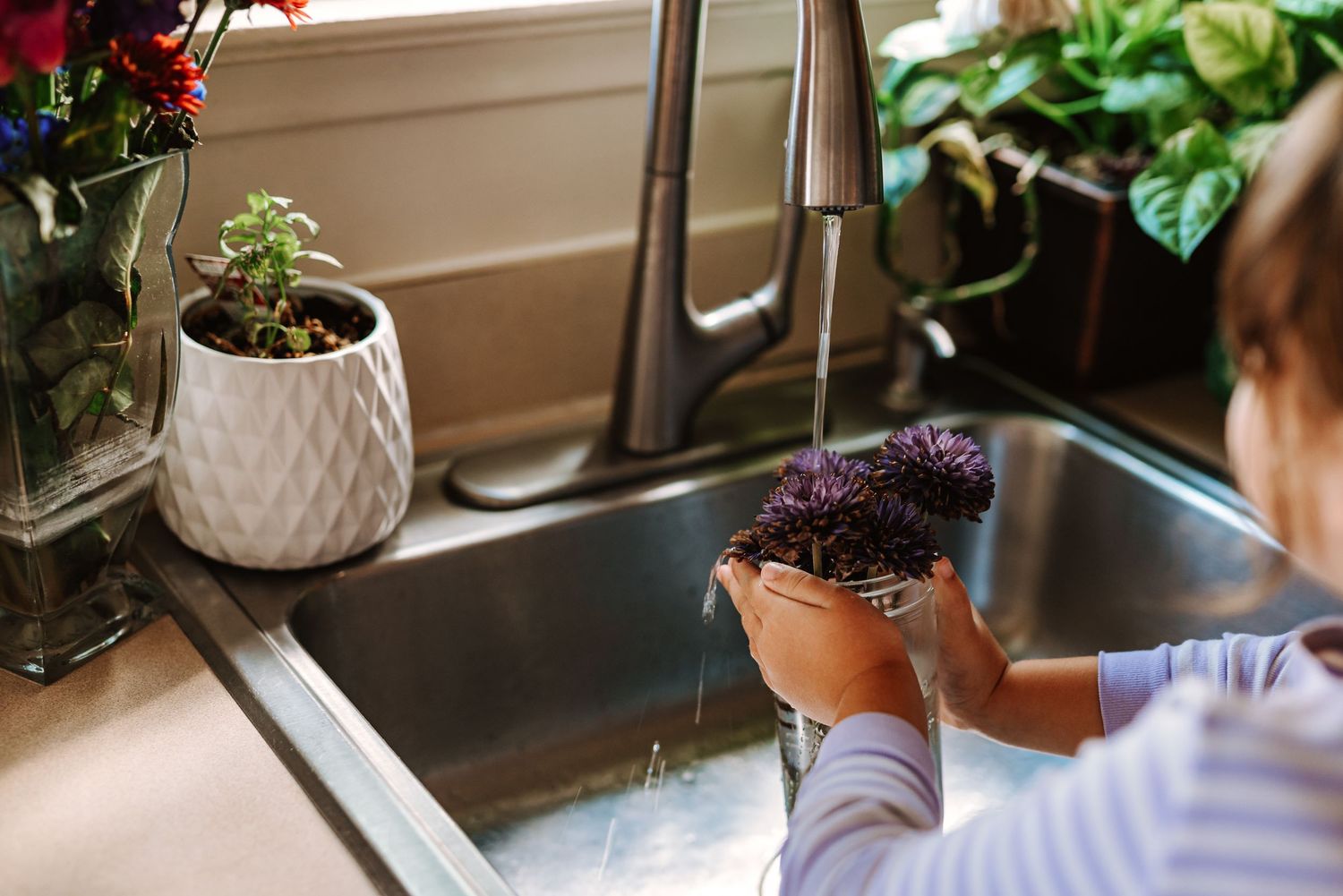 A collection of houseplants being watered and tended to on a windowsill in natural light.