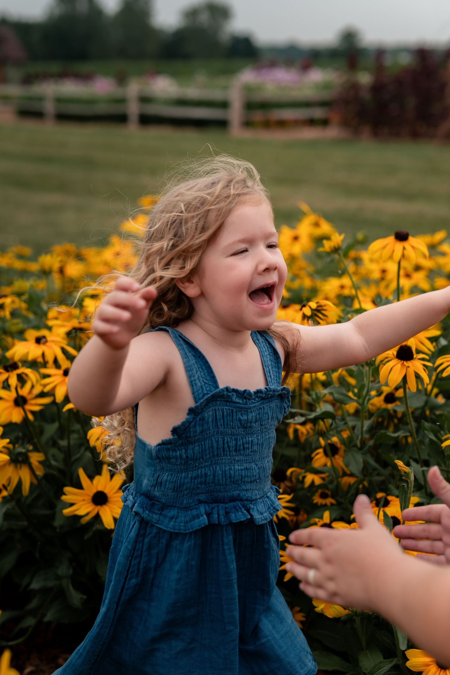 Joyful toddler girl in blue denim dress laughing among bright yellow black-eyed Susan flowers in a garden.