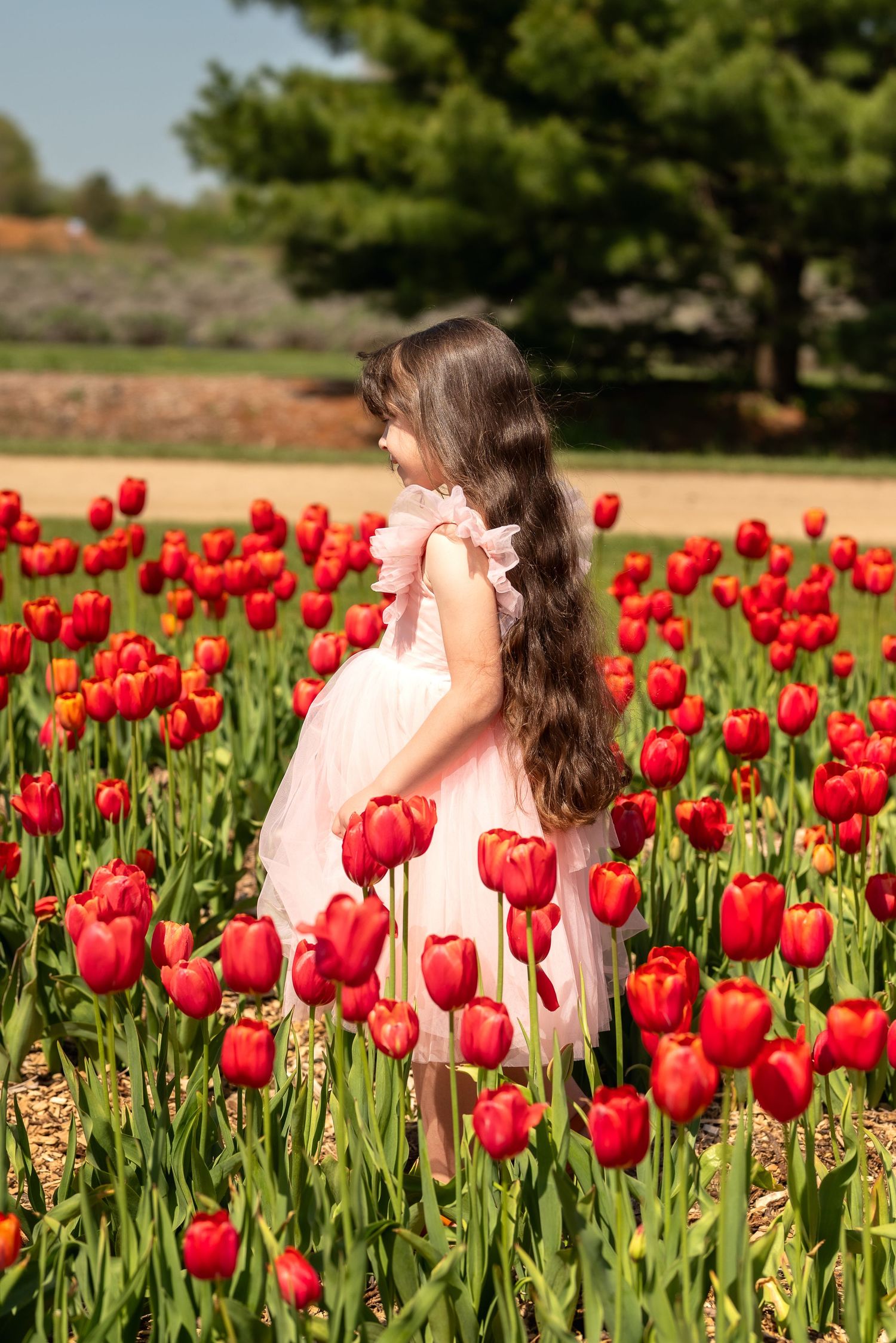 A young girl with long curly hair in a pink tutu stands among tall red tulips in a lush garden.