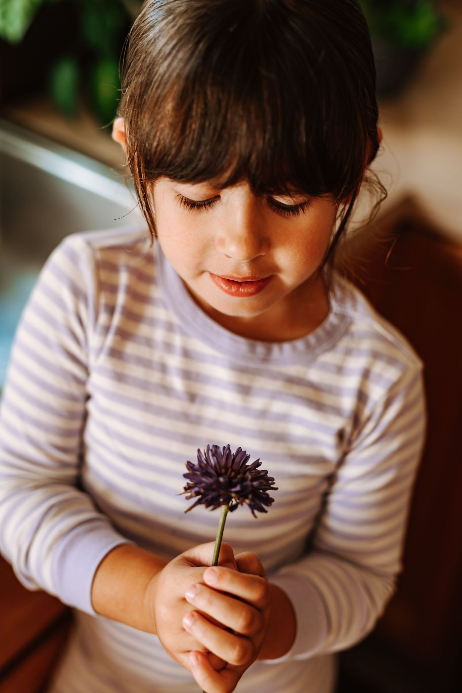 A child in a striped shirt holds and examines a purple flower in a series of progressive close-up shots.