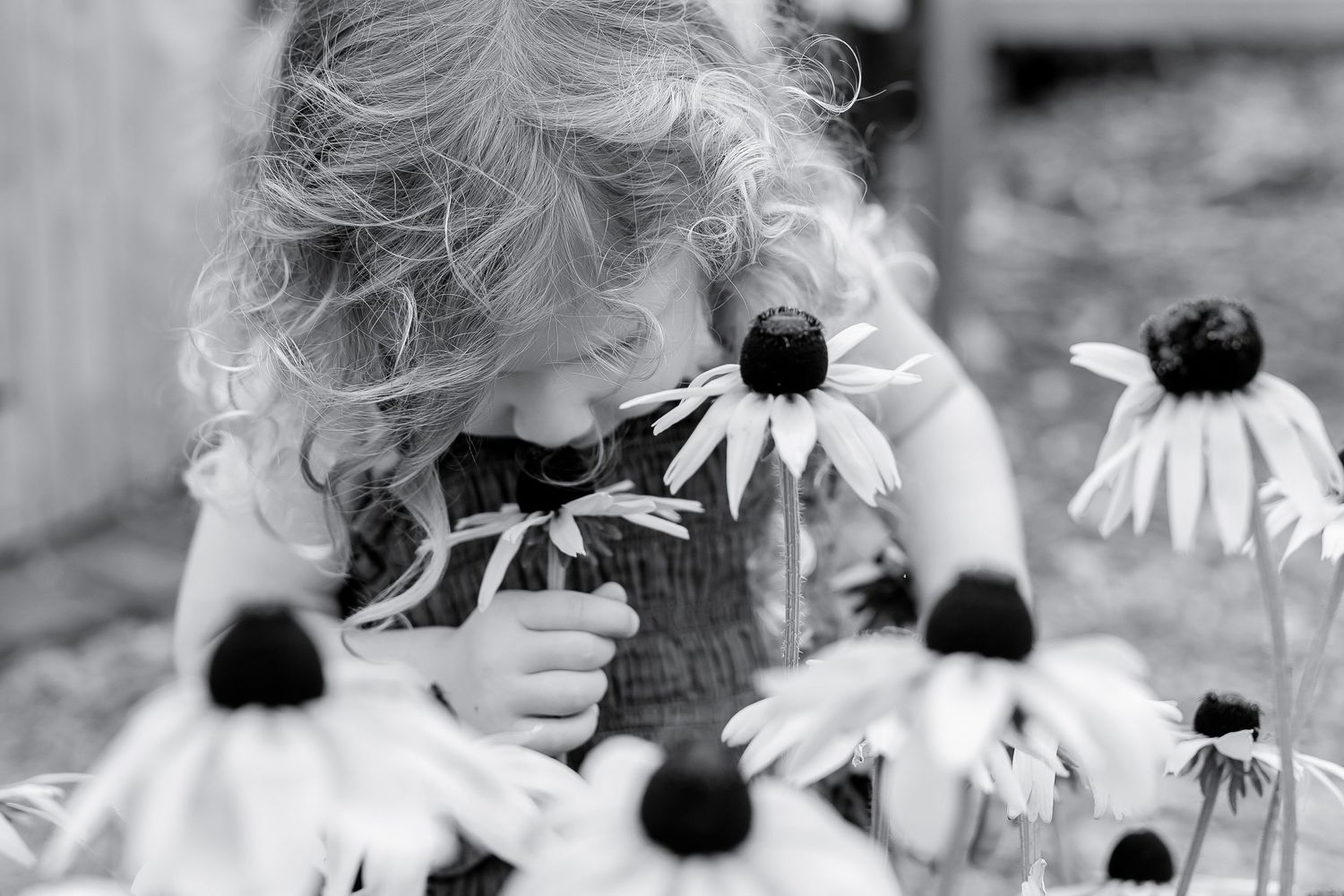 Black and white photo of a young curly-haired girl smelling coneflowers in a garden.