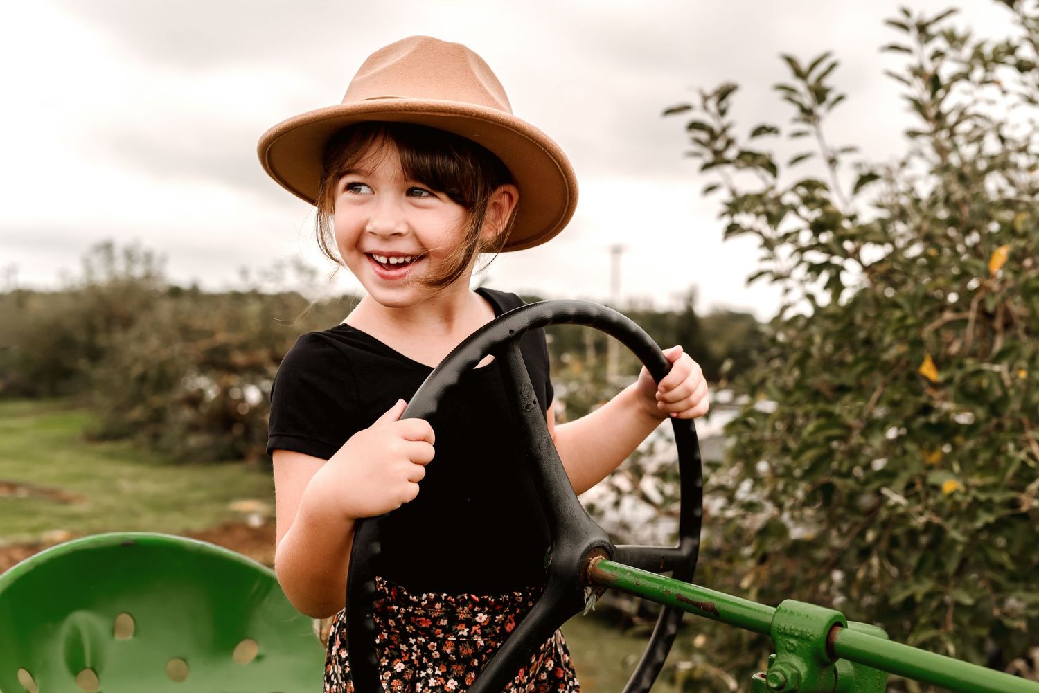 A person in a brown hat picks apples from trees in an autumn orchard during harvest season.