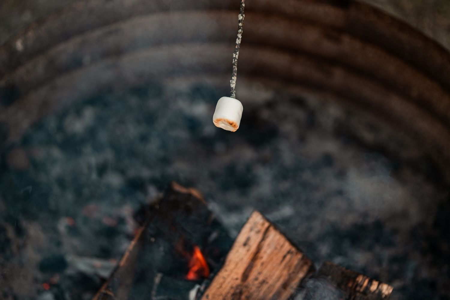 A marshmallow roasting on a stick over a campfire with glowing embers and burning logs in a fire pit.