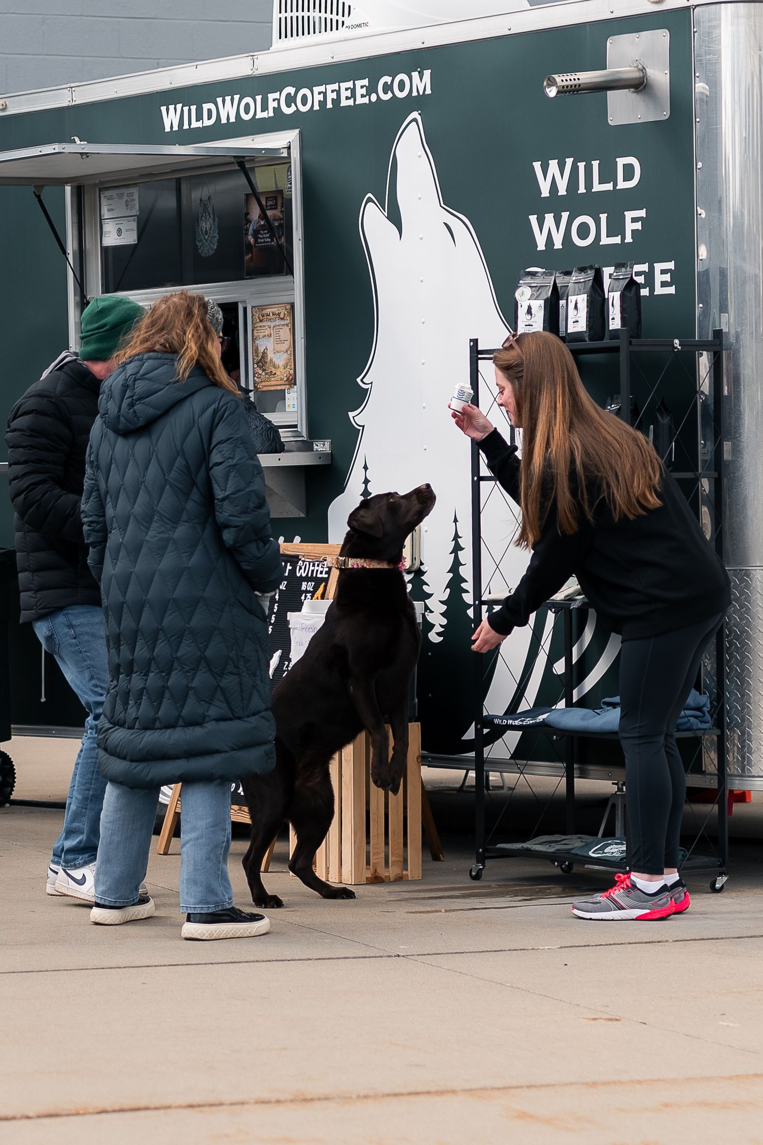 A black dog sits up at a Wild Wolf Coffee food truck while a woman offers it a treat outdoors.