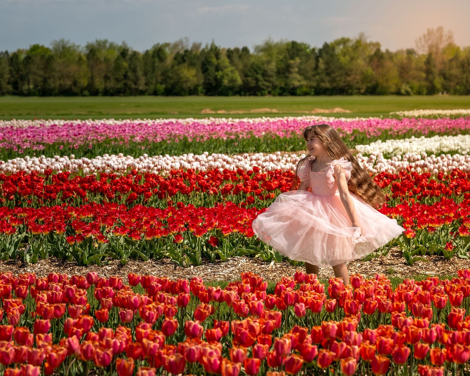 A young girl in a pink tutu twirls joyfully in a vibrant multicolored tulip field on a sunny day.