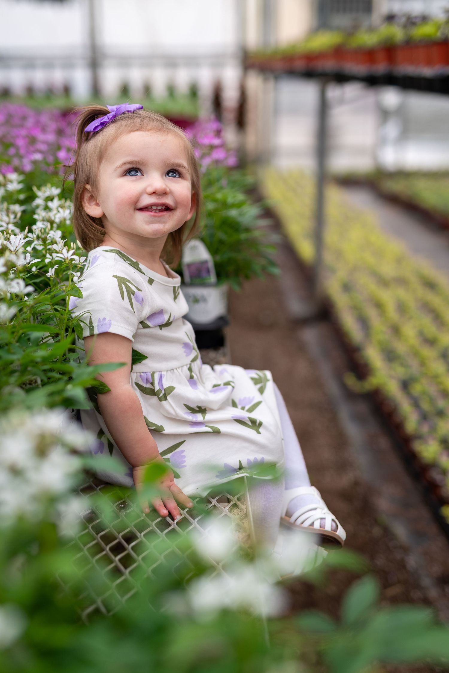 A joyful moment captured among purple and white flowers in a greenhouse garden.