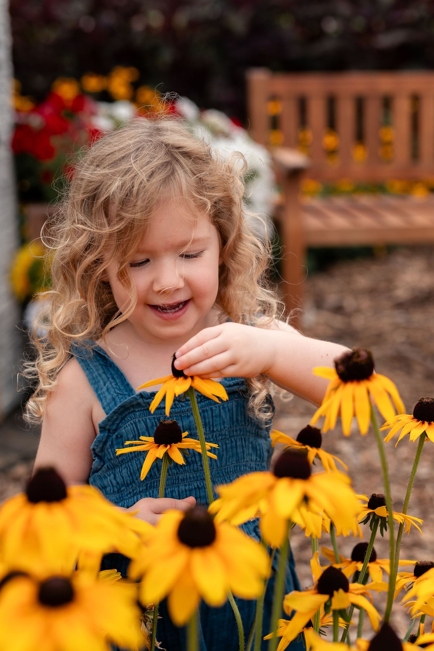 Curly-haired toddler girl in blue overalls smiling while touching yellow black-eyed Susan flowers in a garden.