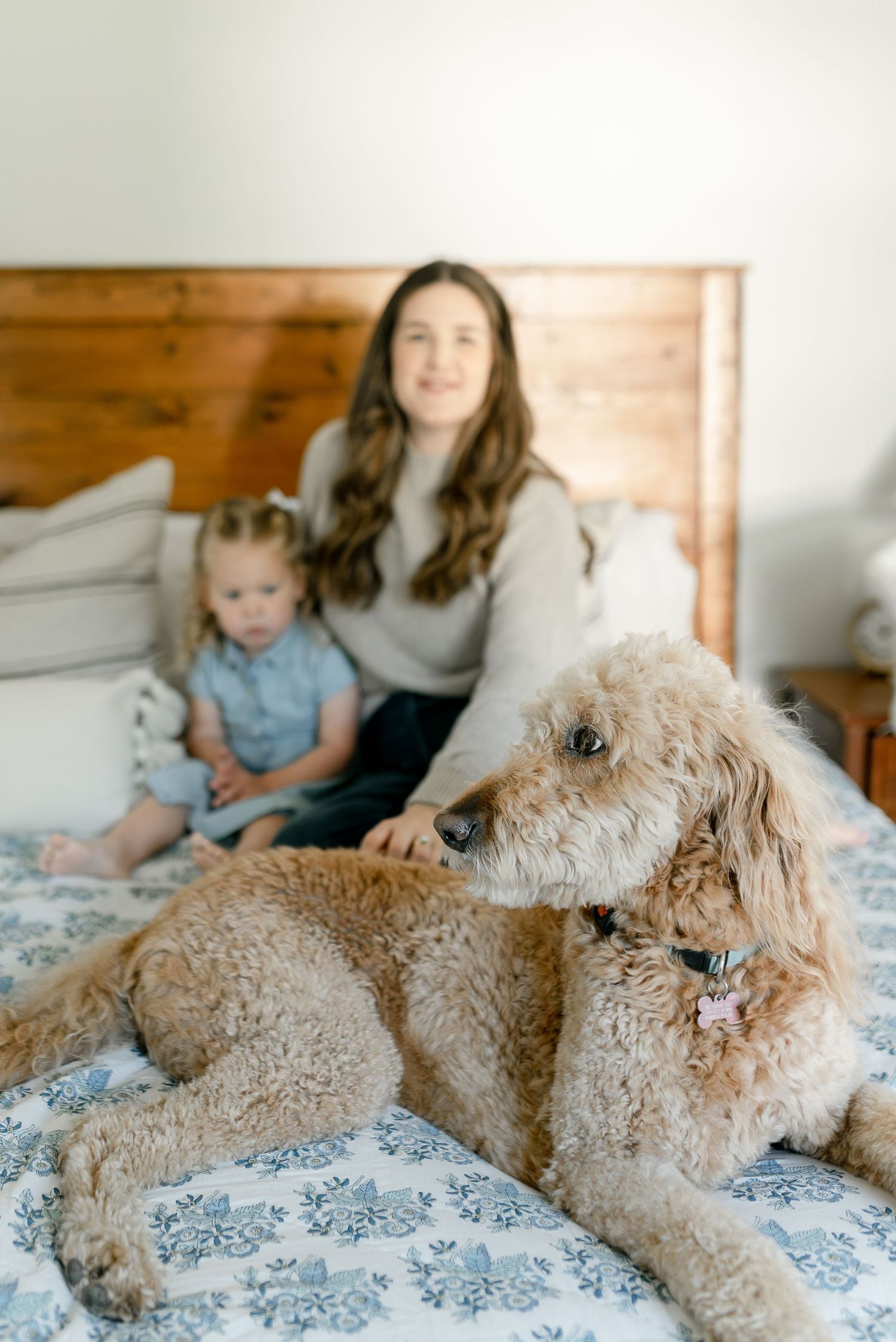 A fluffy golden doodle rests on a floral bed while a woman and toddler sit against a wooden headboard.
