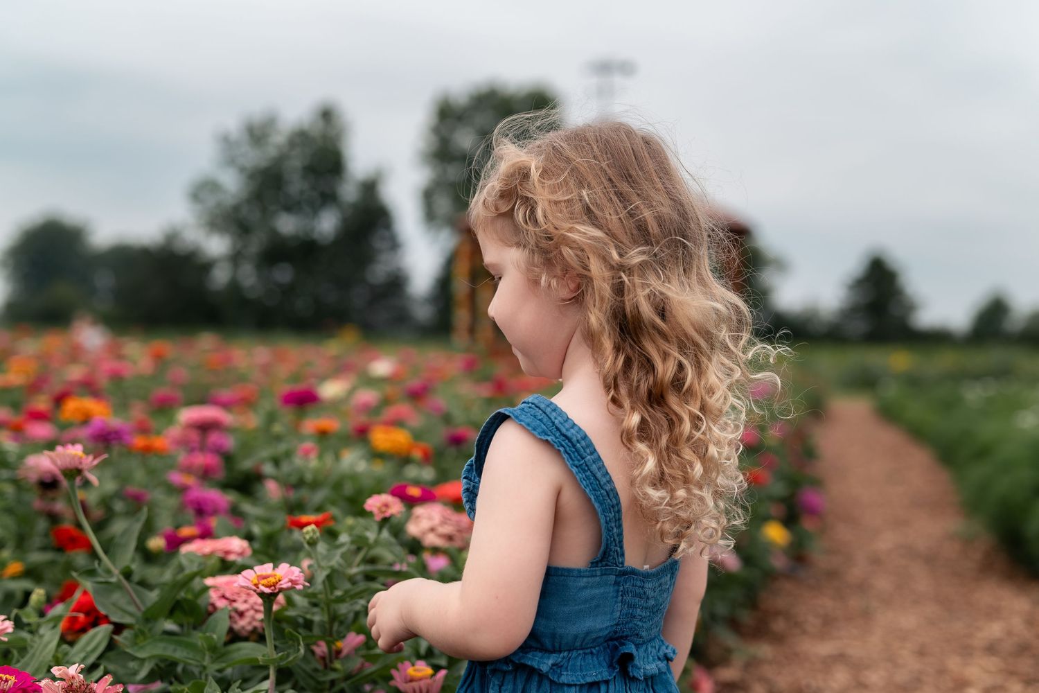 Young girl with curly hair in denim overalls admiring colorful zinnia flowers in a vibrant farm field.