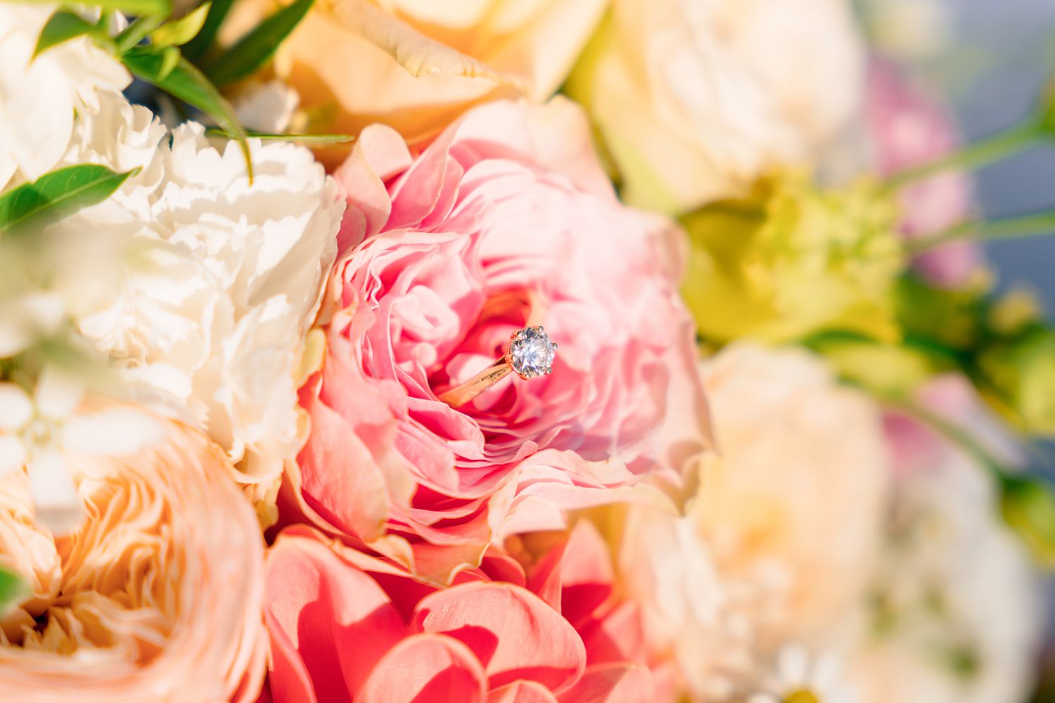Delicate pastel pink and peach roses arranged in a romantic floral display with soft bokeh background effect.