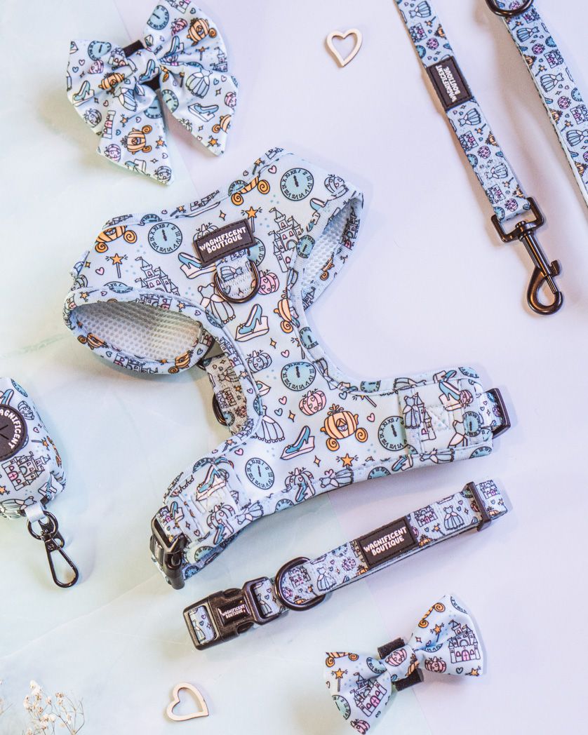 Pet accessories set with coordinated pawprint pattern including harness, bow, and leash in blue and brown tones.