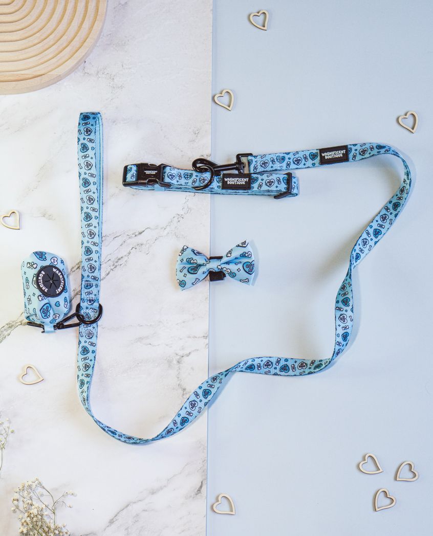 Light blue pet collar and bow tie set with decorative pattern on marble background with gold heart accents.