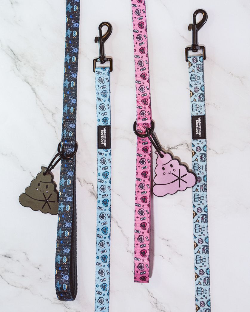 Collection of dog leads in blue and pink patterns with decorative charm attachments.