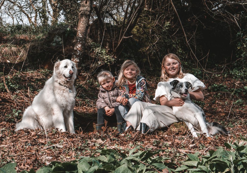 Family group sitting outdoors with multiple happy dogs in an autumn setting.