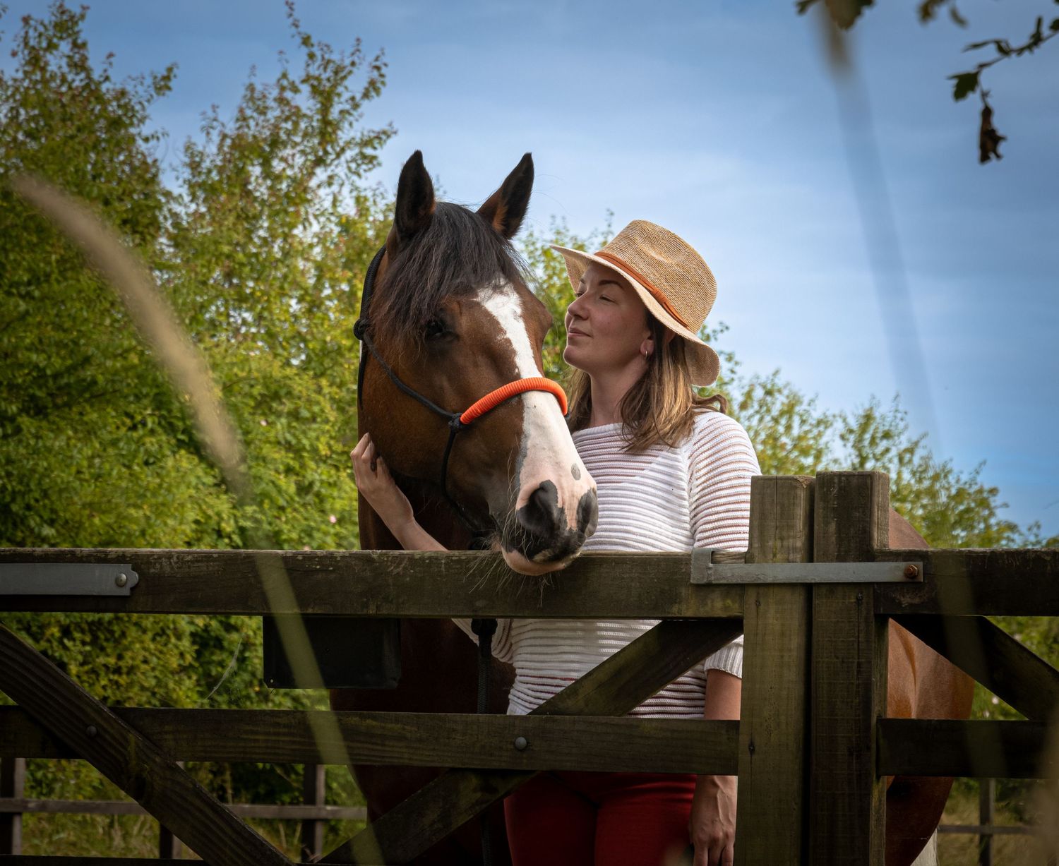 A dark bay horse and someone wearing a tan hat share a tender moment at a wooden fence in sunlit countryside.