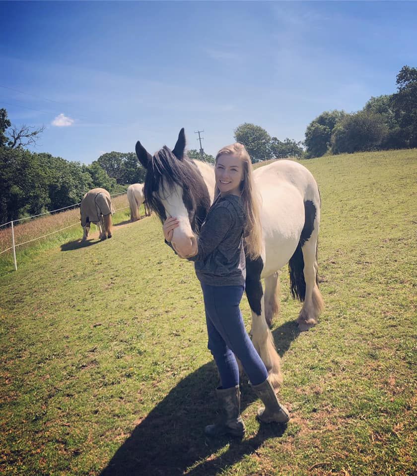 A person standing with a black and white horse in a sunny green pasture.