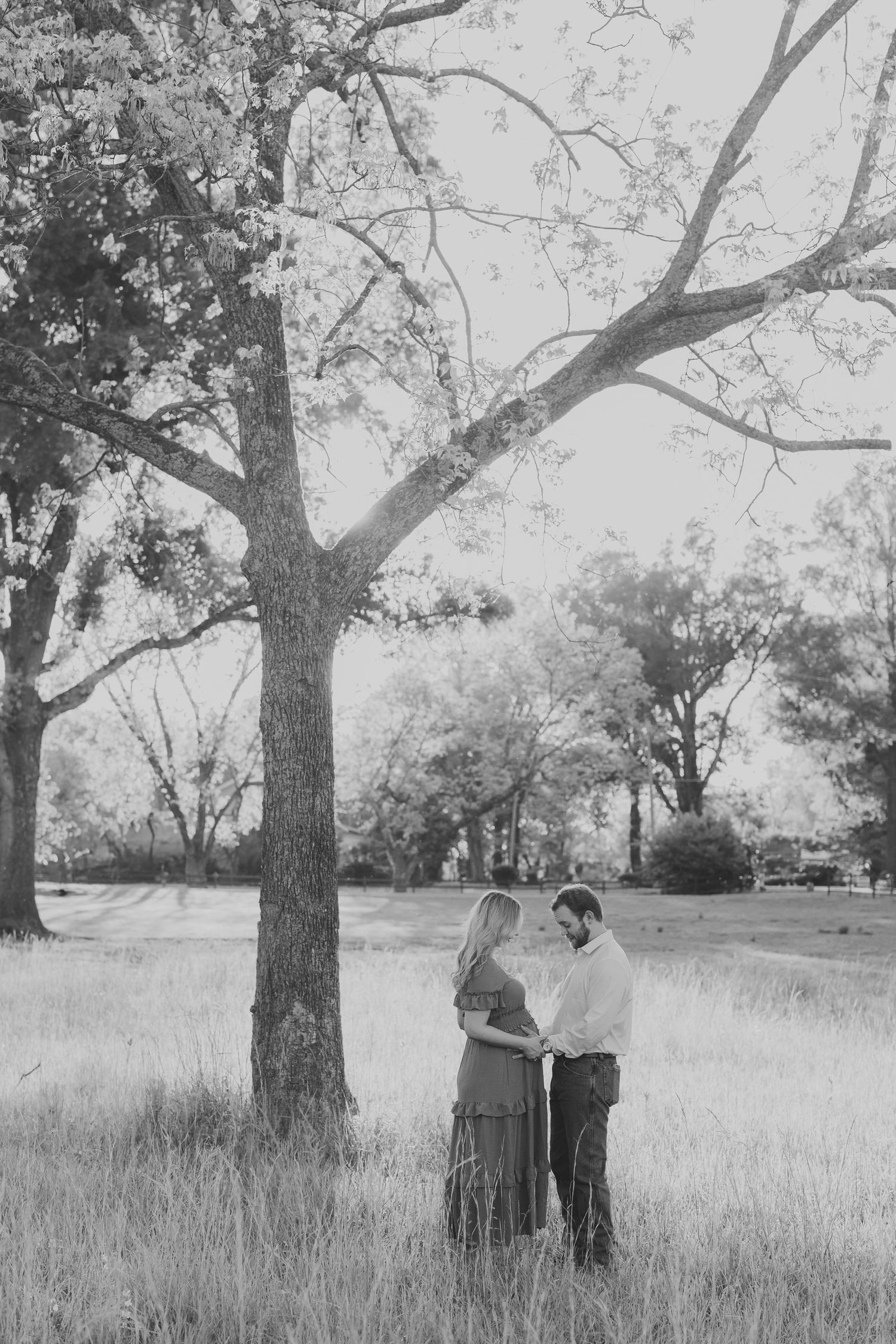 A sequence of five black and white photographs showing a couple's embrace beneath large trees in an outdoor field setting.
