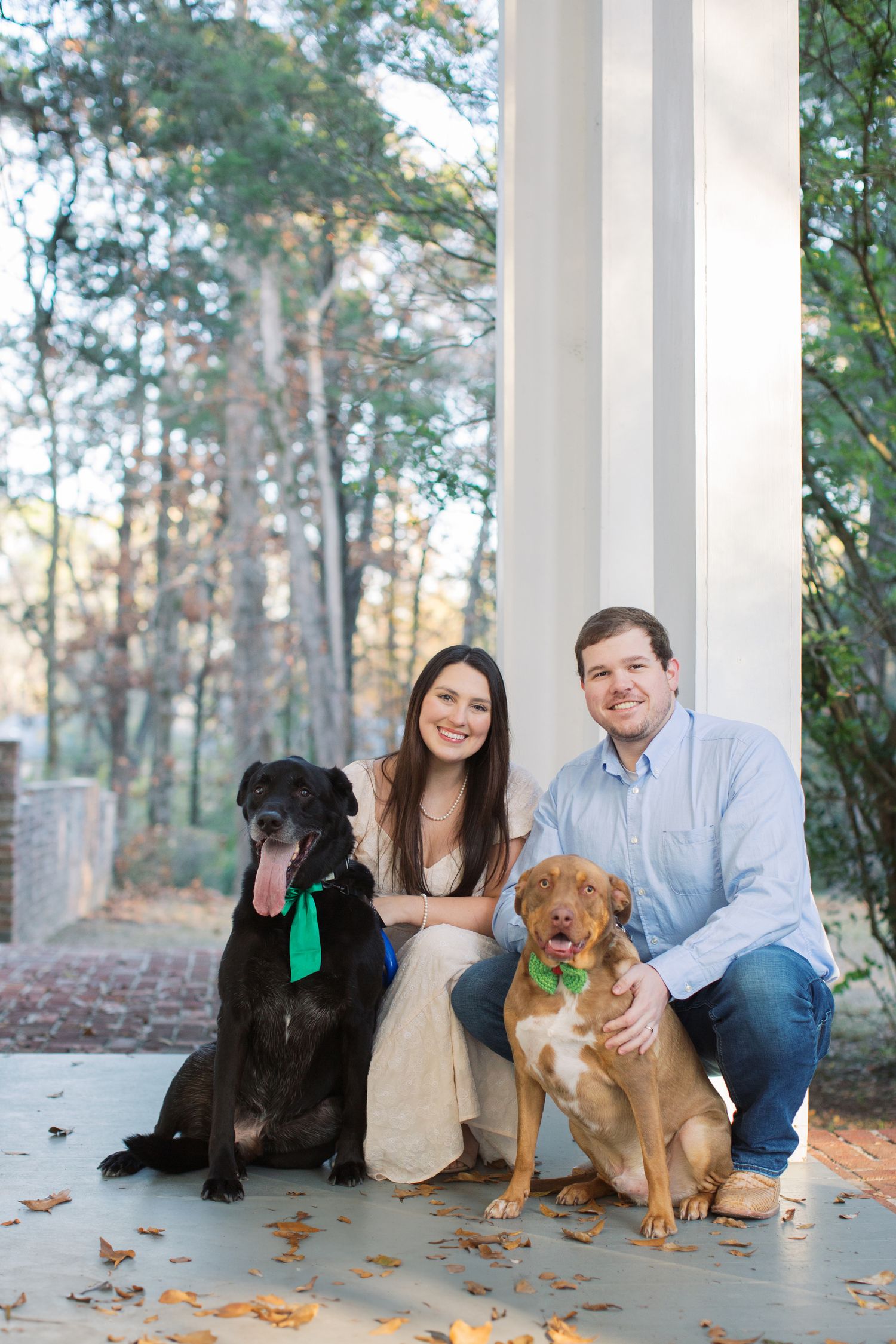 Portrait series of a couple with their three dogs sitting on a white porch with autumn leaves.